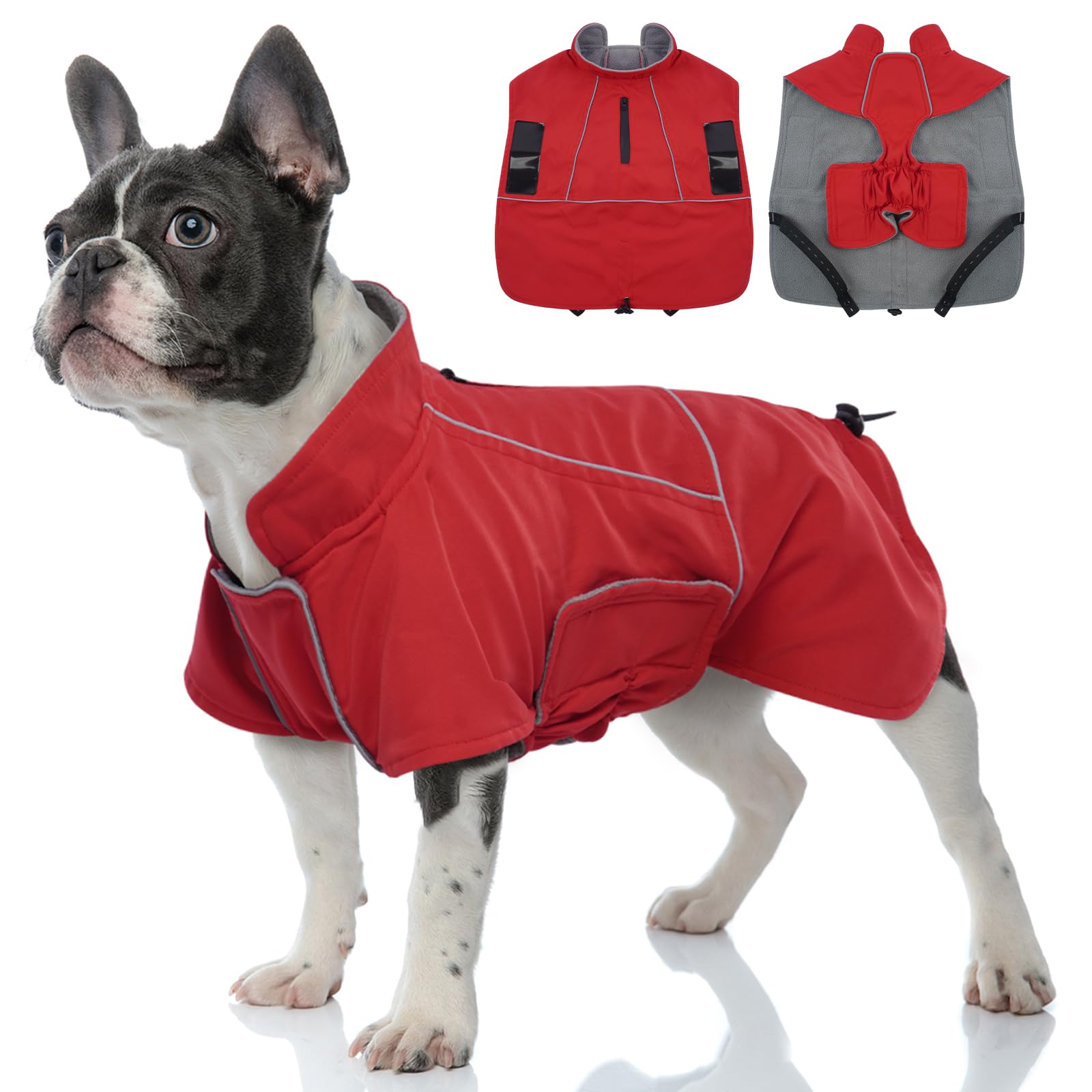 Migohi dog waterproof jacket in red on a medium dog, keeps fur dry in rain.