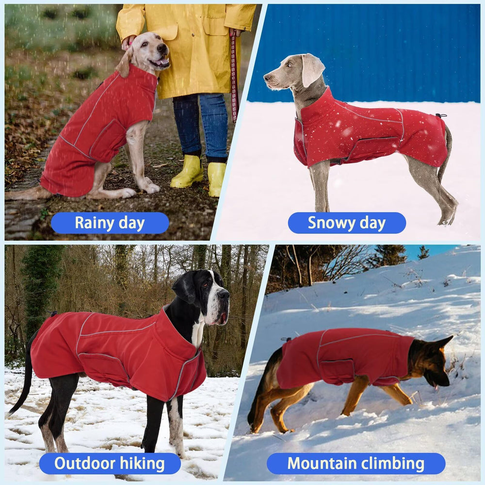 Migohi dog-winter-jacket-machine-washable easy cleanup after hikes