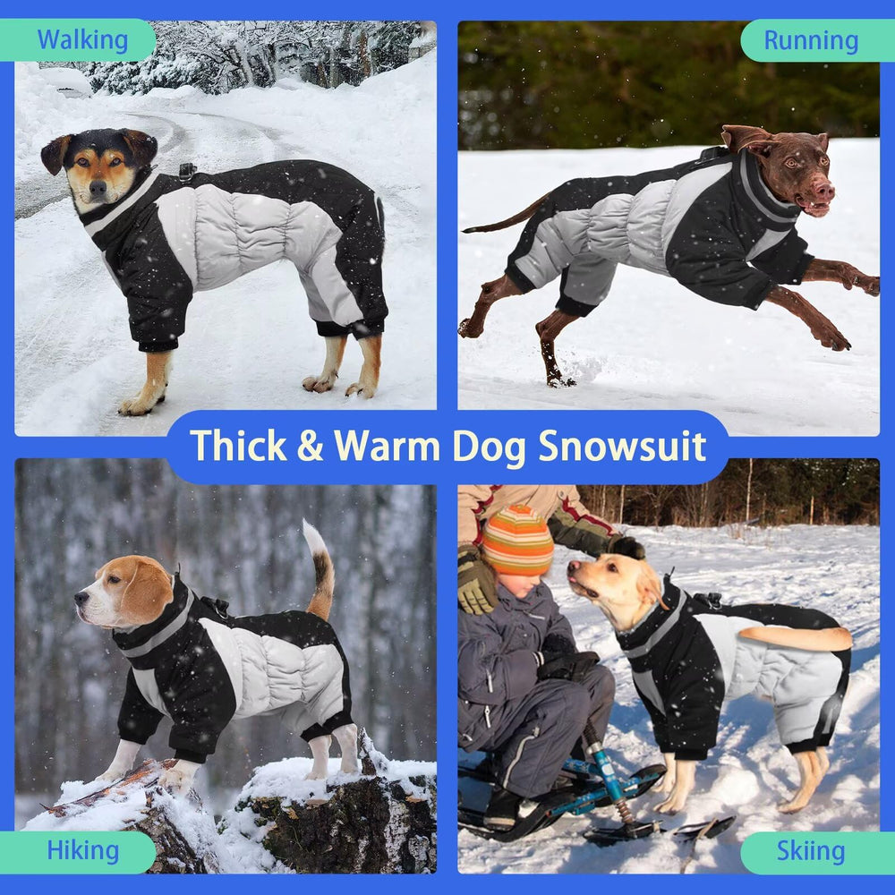 MIGOHI four-leg windproof snowsuit keeps dogs cozy outdoors.