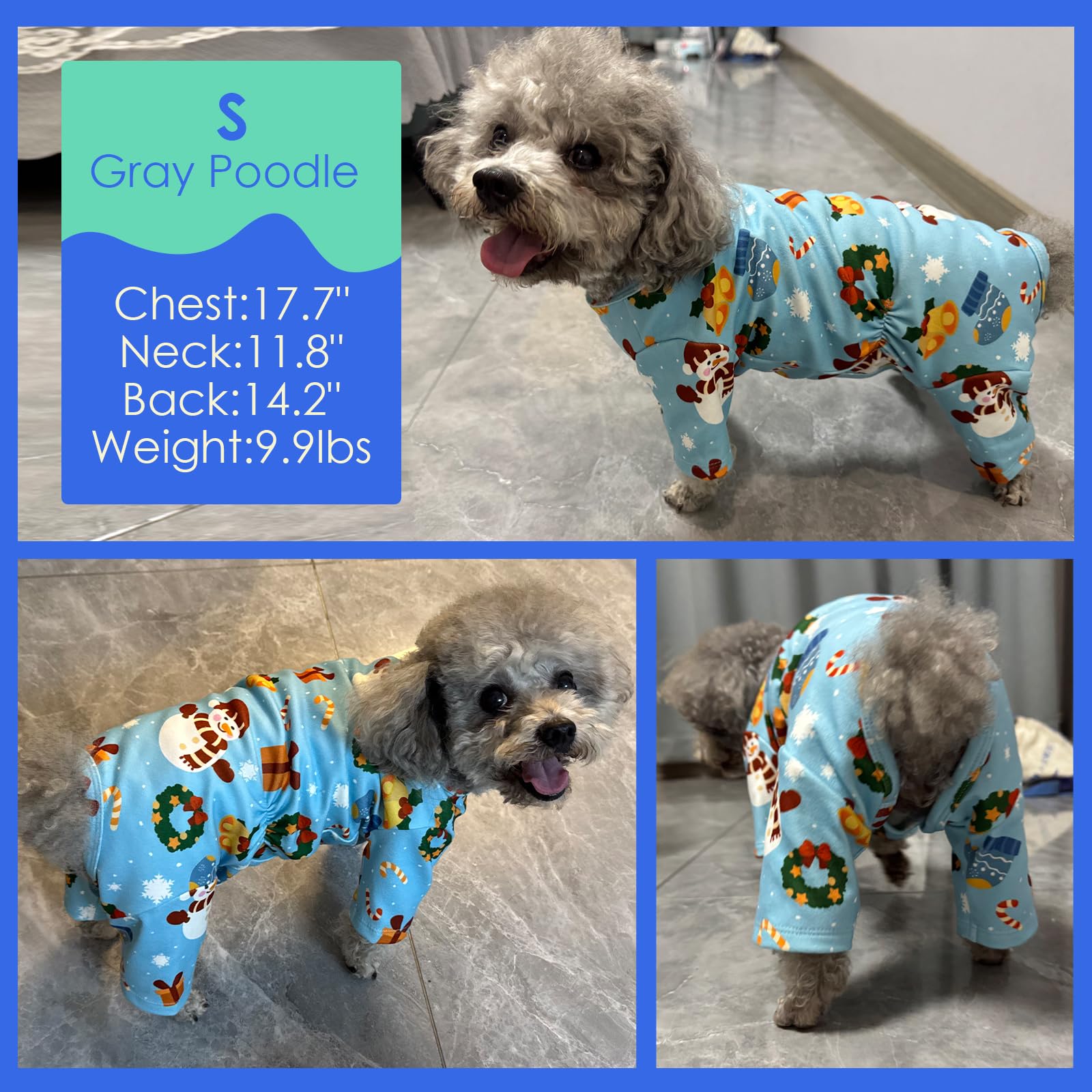 MIGOHI holiday-ready blue dog pjs for cute photo moments.