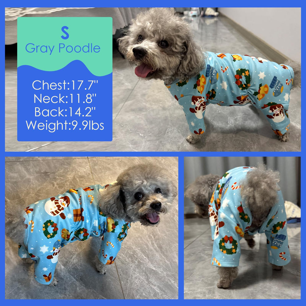 MIGOHI holiday-ready blue dog pjs for cute photo moments.