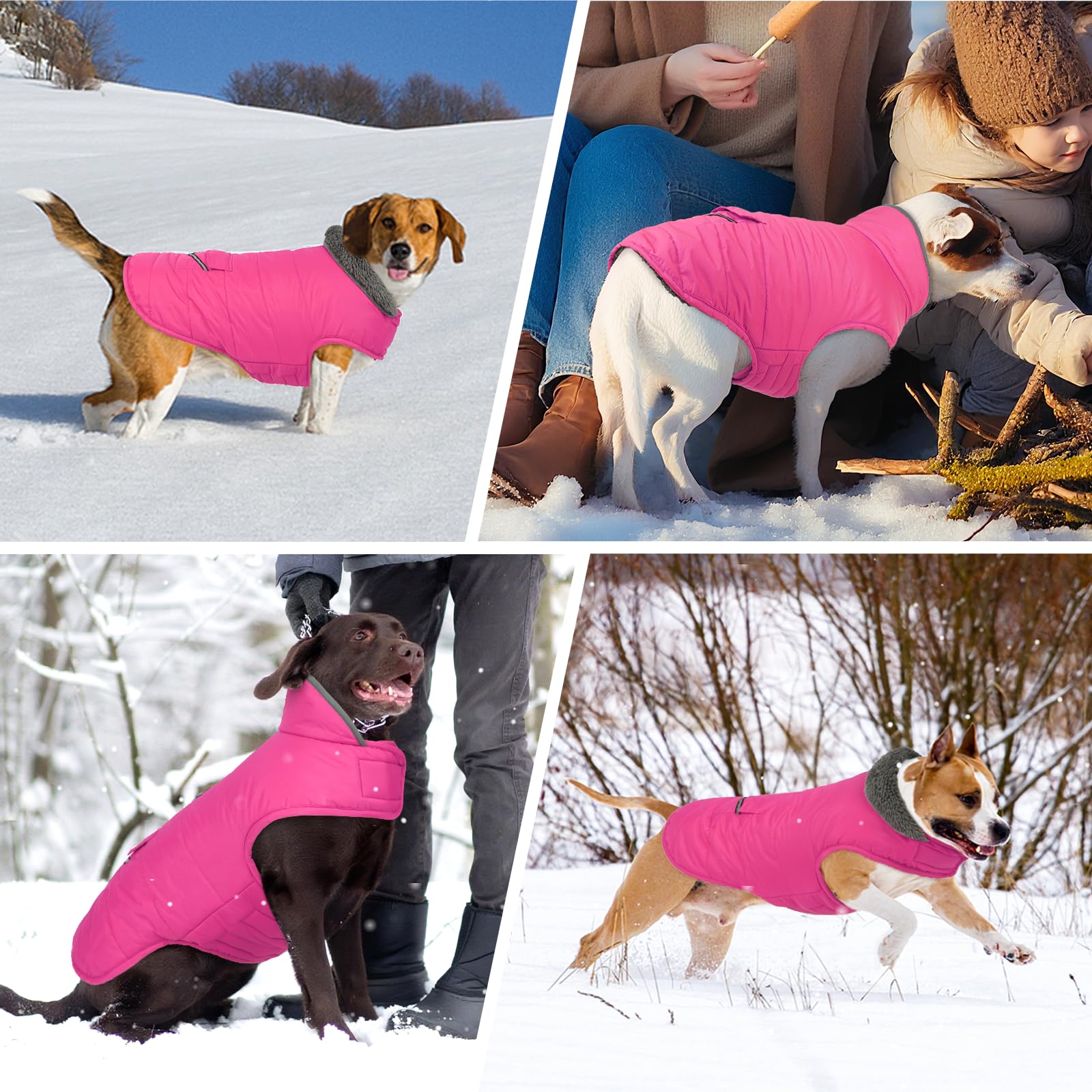 MIGOHI adjustable hook-and-loop closures ensure snug, secure fit for active dogs.