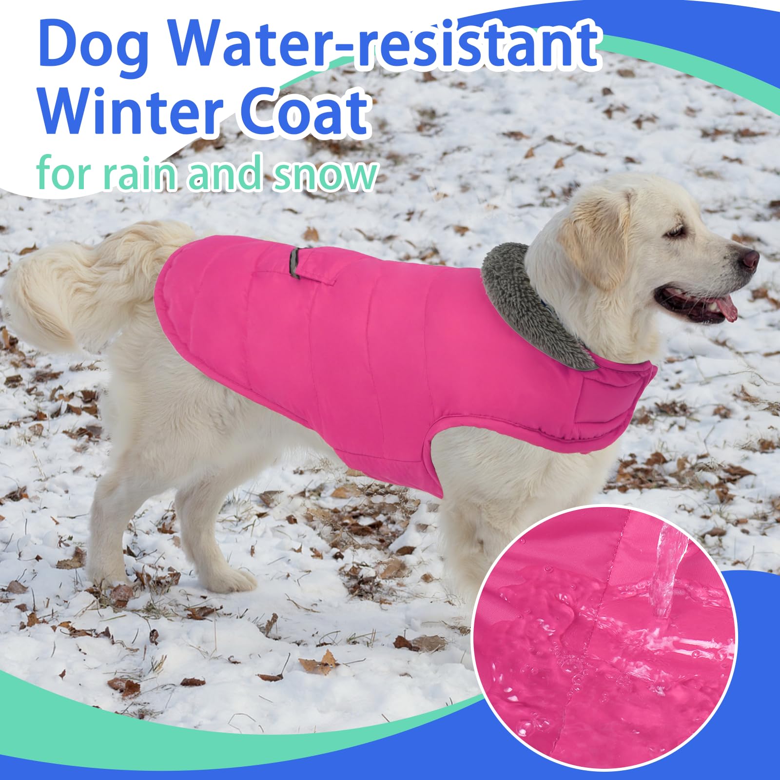 MIGOHI reflective trim and leash hole enhance night visibility and easy harness use.