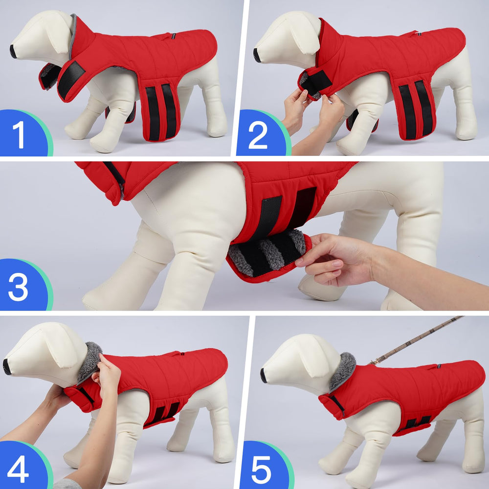 MIGOHI six-size range covers small to large dogs for a precise fit.