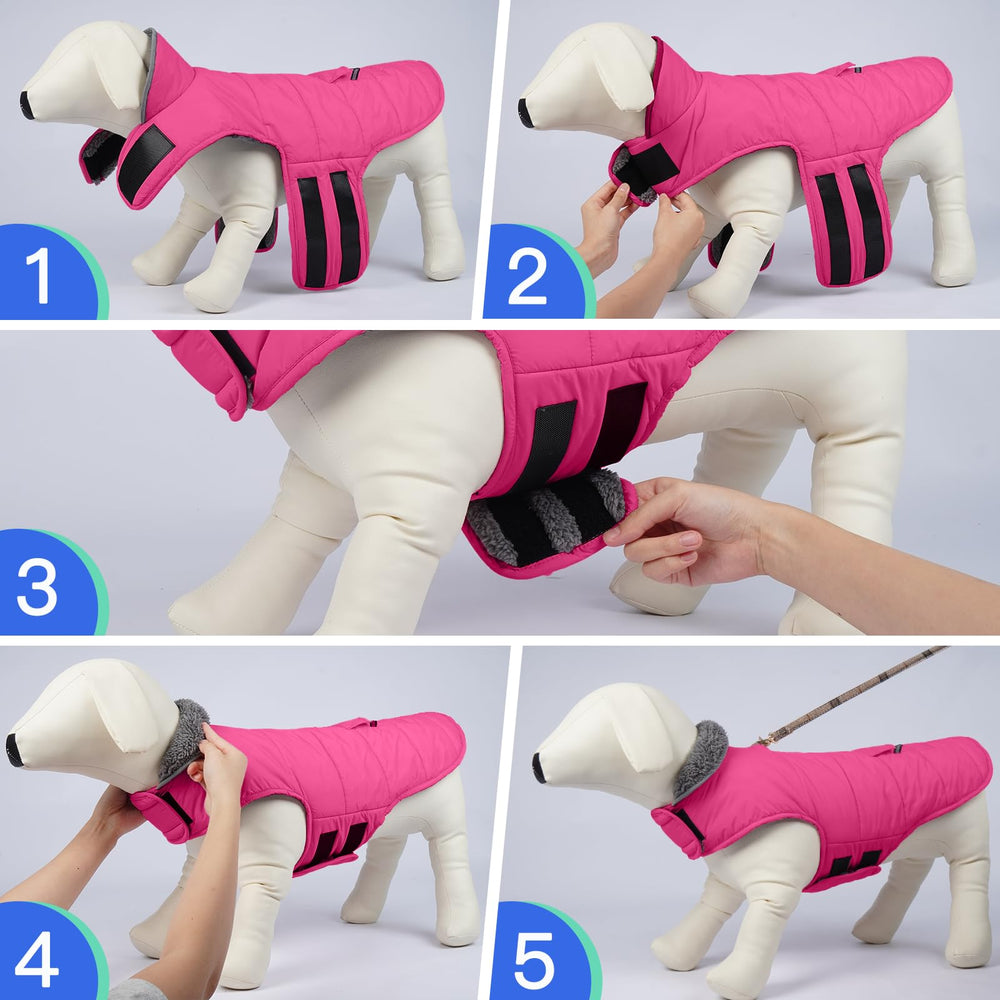 MIGOHI six-size range ensures a comfortable fit from small to large breeds.