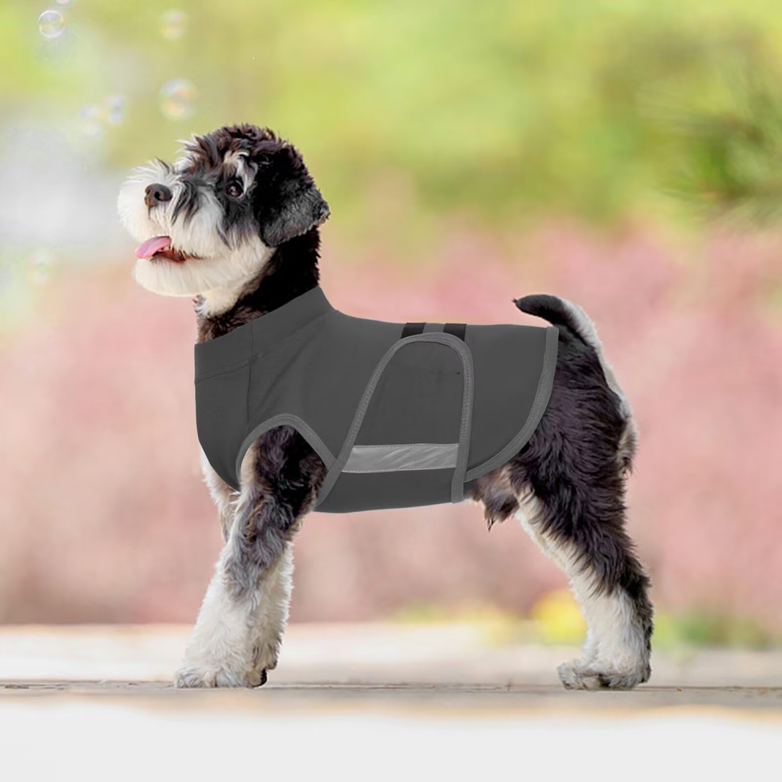MIGOHI size-chart measurement guide helps you find the right fit