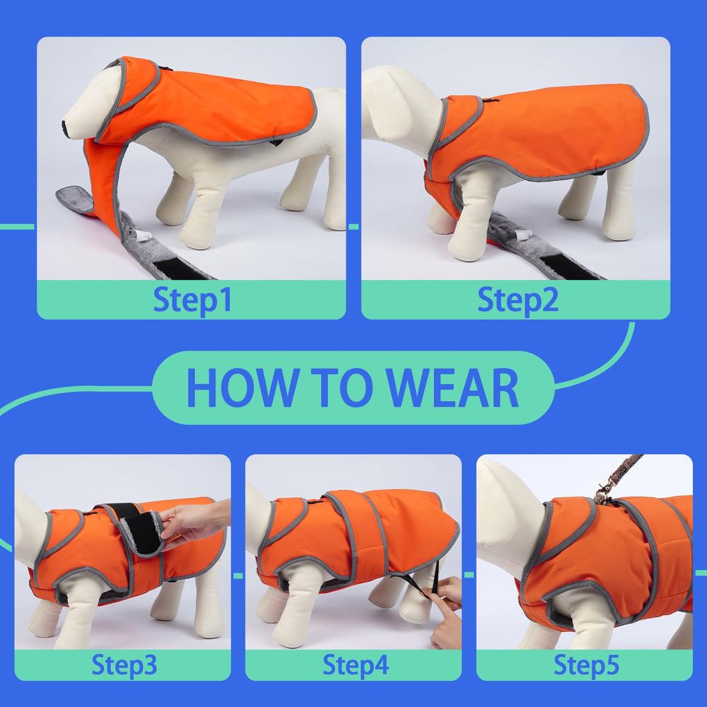 MIGOHI zipper for collar and harness access simplifies on-off dressing