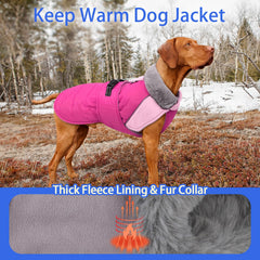 MIGOHI warm dog jacket buckle adjustment for secure, customizable fit