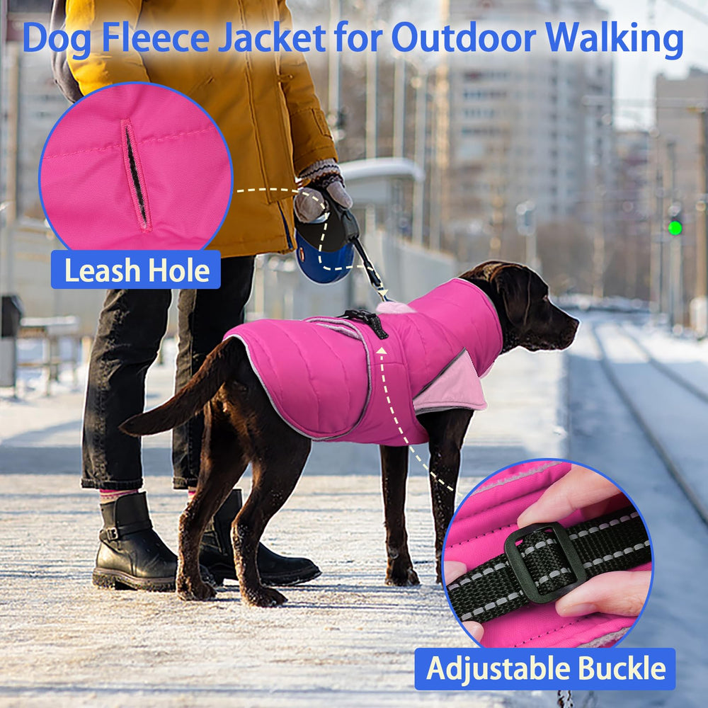 MIGOHI warm dog jacket model wearing small dog for winter versatility
