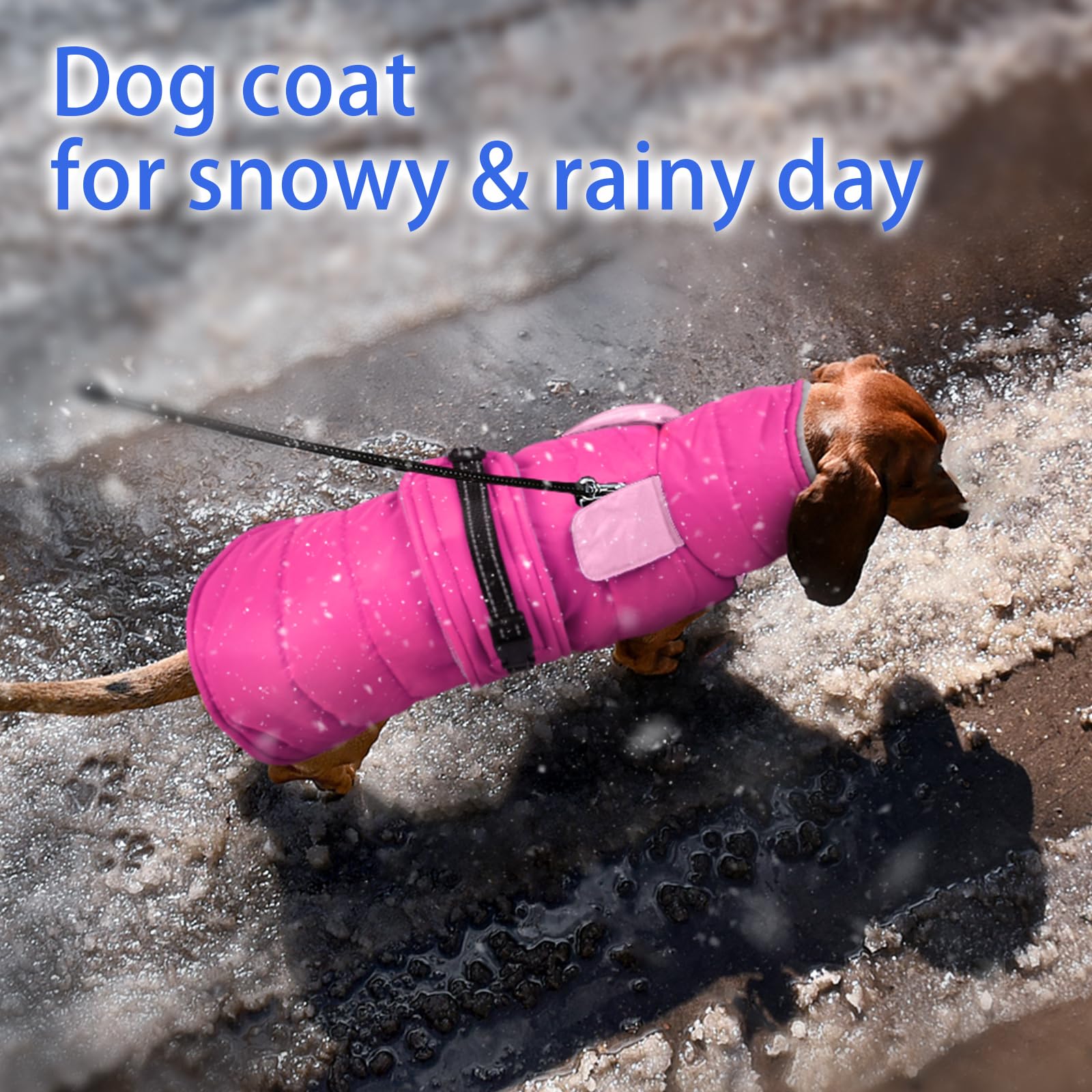 MIGOHI warm dog jacket reflective trim visible during dusk walks