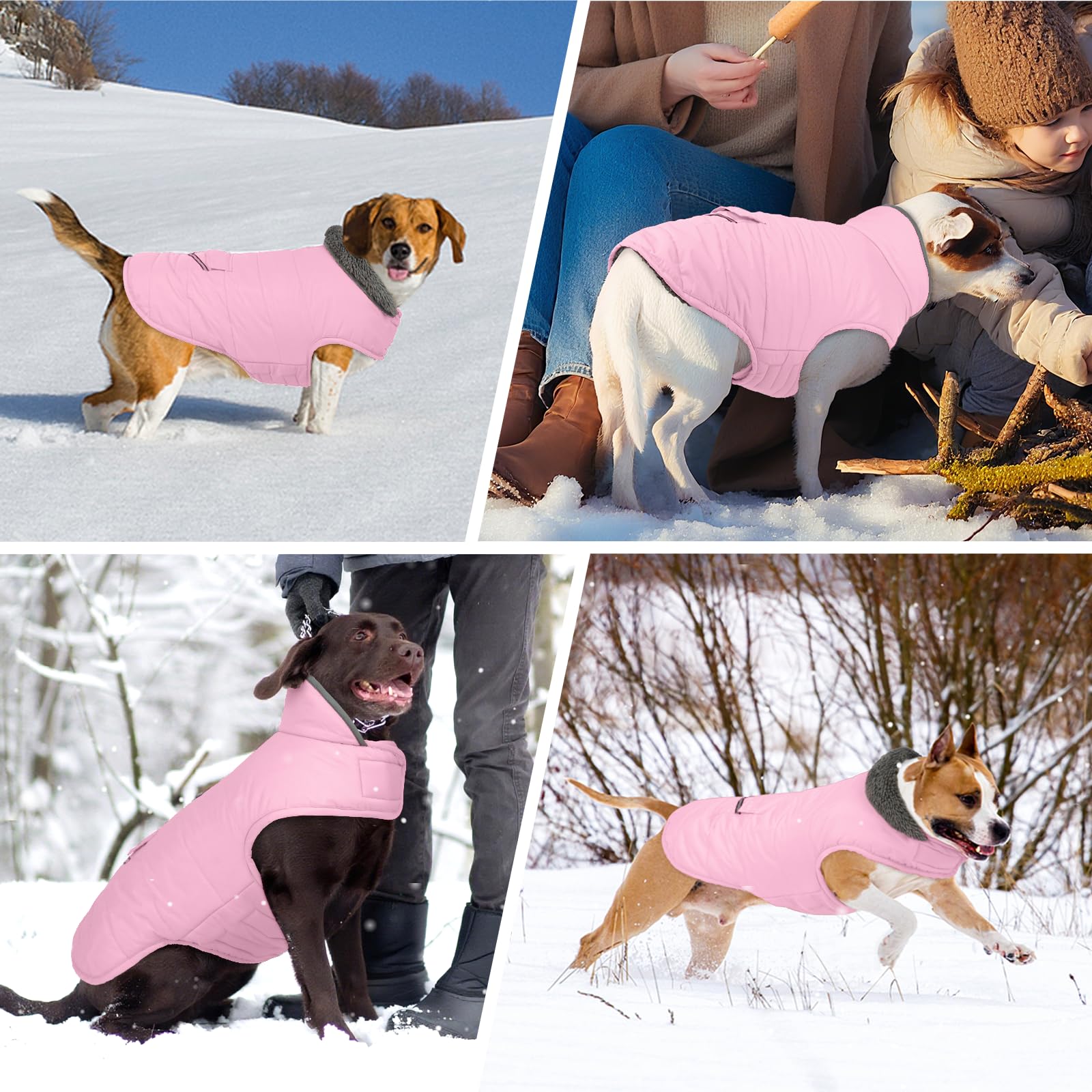 Migohi warm dog snowsuit furry collar closeup highlights neck wind protection