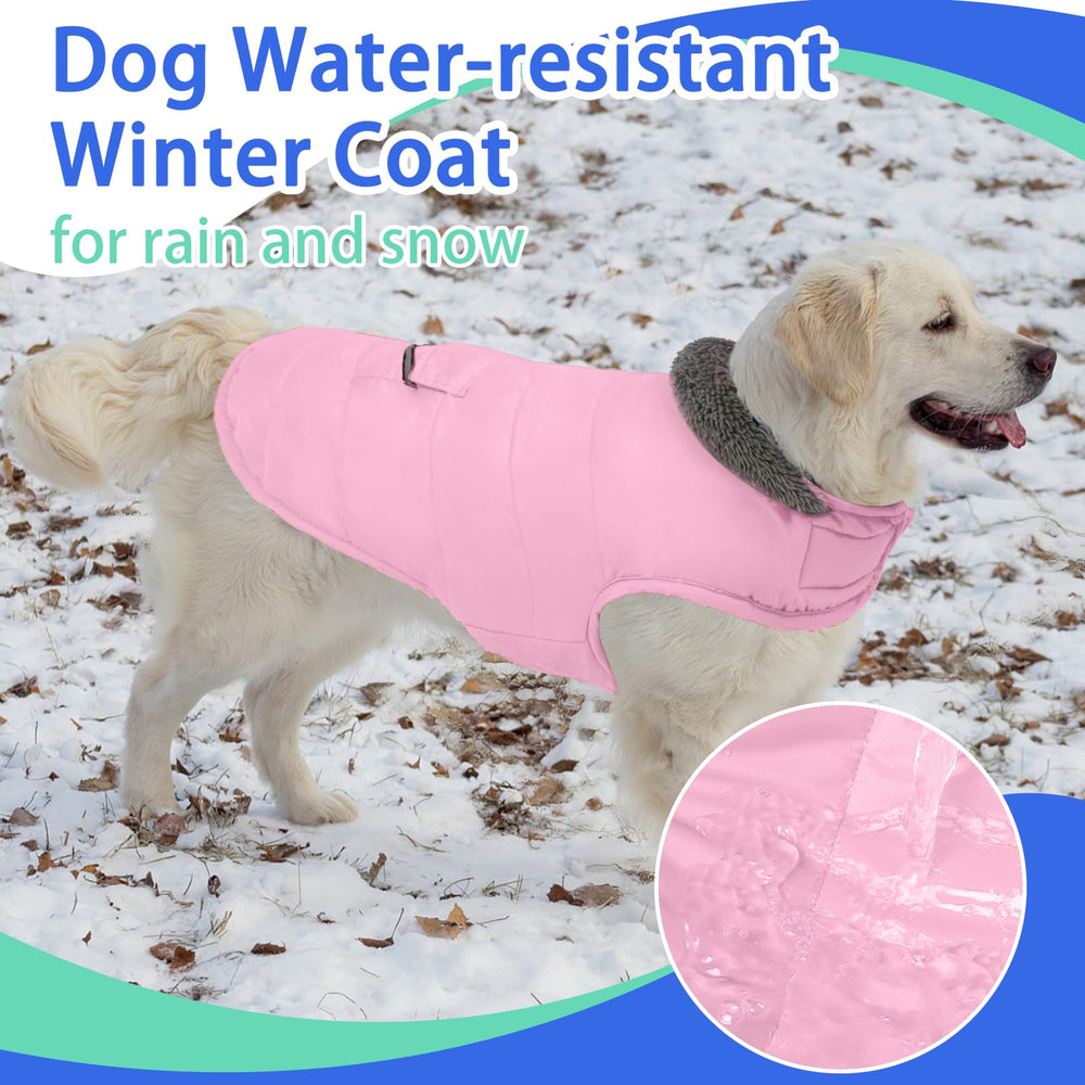 Migohi warm dog snowsuit leash hole demonstrates harness compatibility for walks