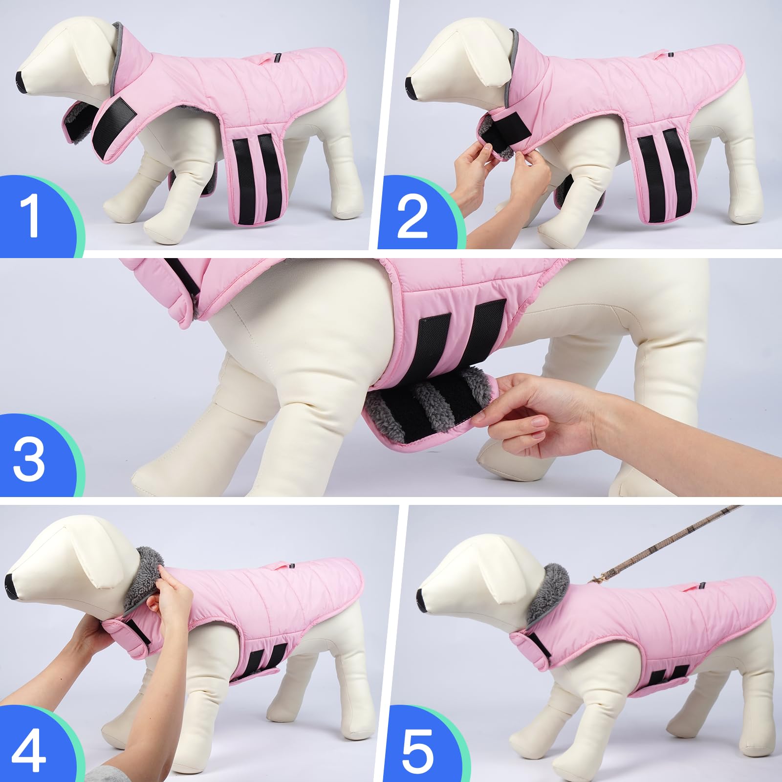 Migohi warm dog snowsuit size chart helps choose the right fit