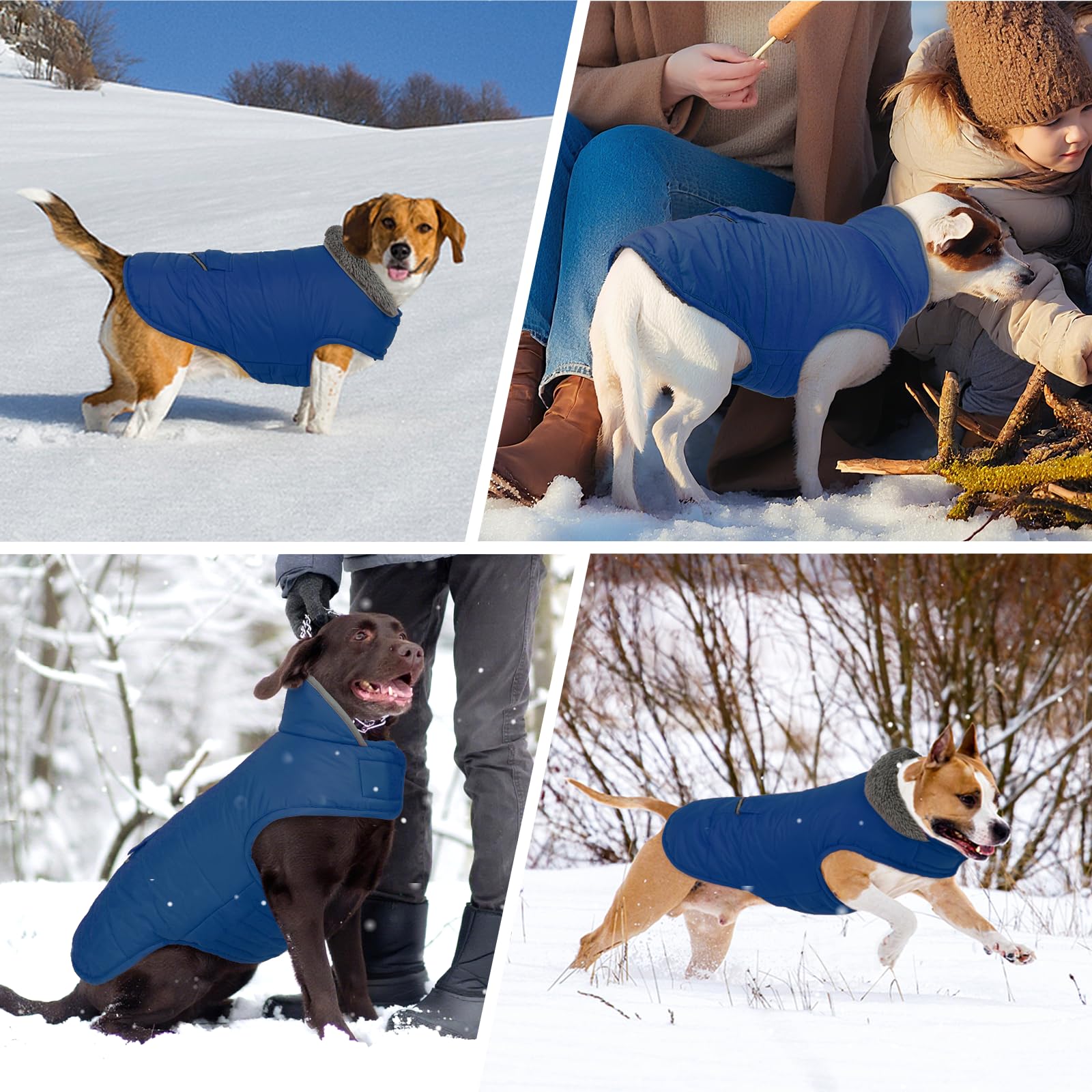MIGOHI leash hole design for harness-friendly walks