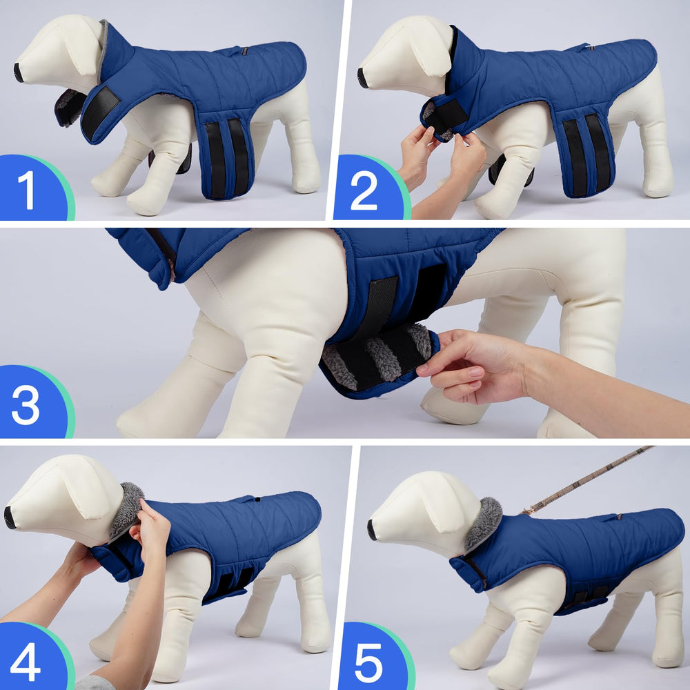 MIGOHI size chart image guides fit for small to large breeds