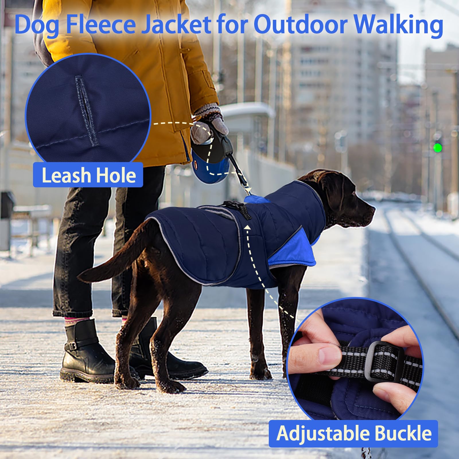 MIGOHI leash-hole-accessory demonstrates convenient walking with harness compatibility