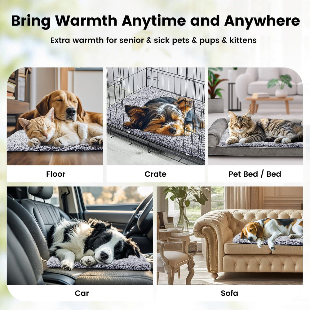 Miguel cat bed warranty supports peace of mind with replacement options.