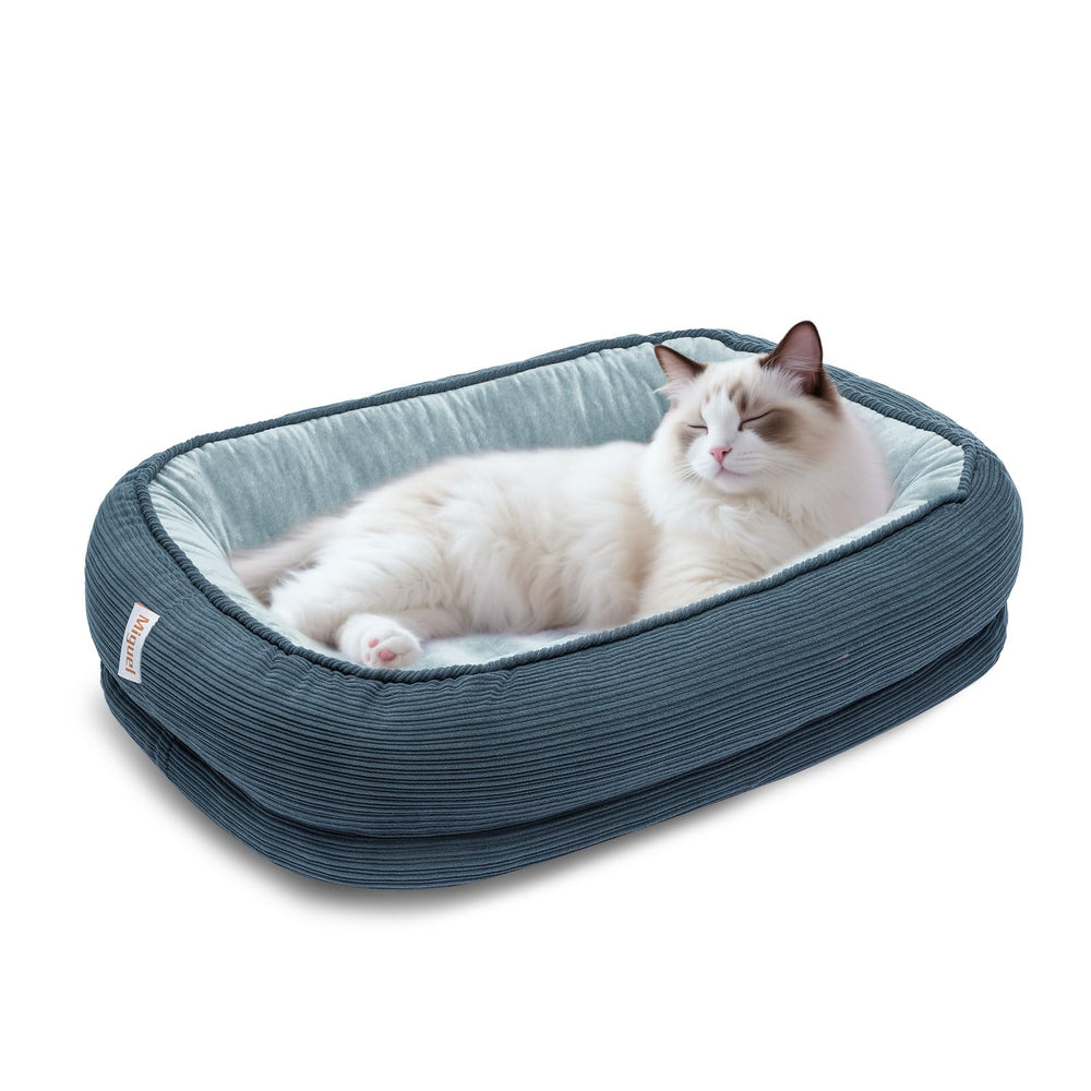 Miguel orthopedic cat bed with egg crate memory foam supports joints for comfort