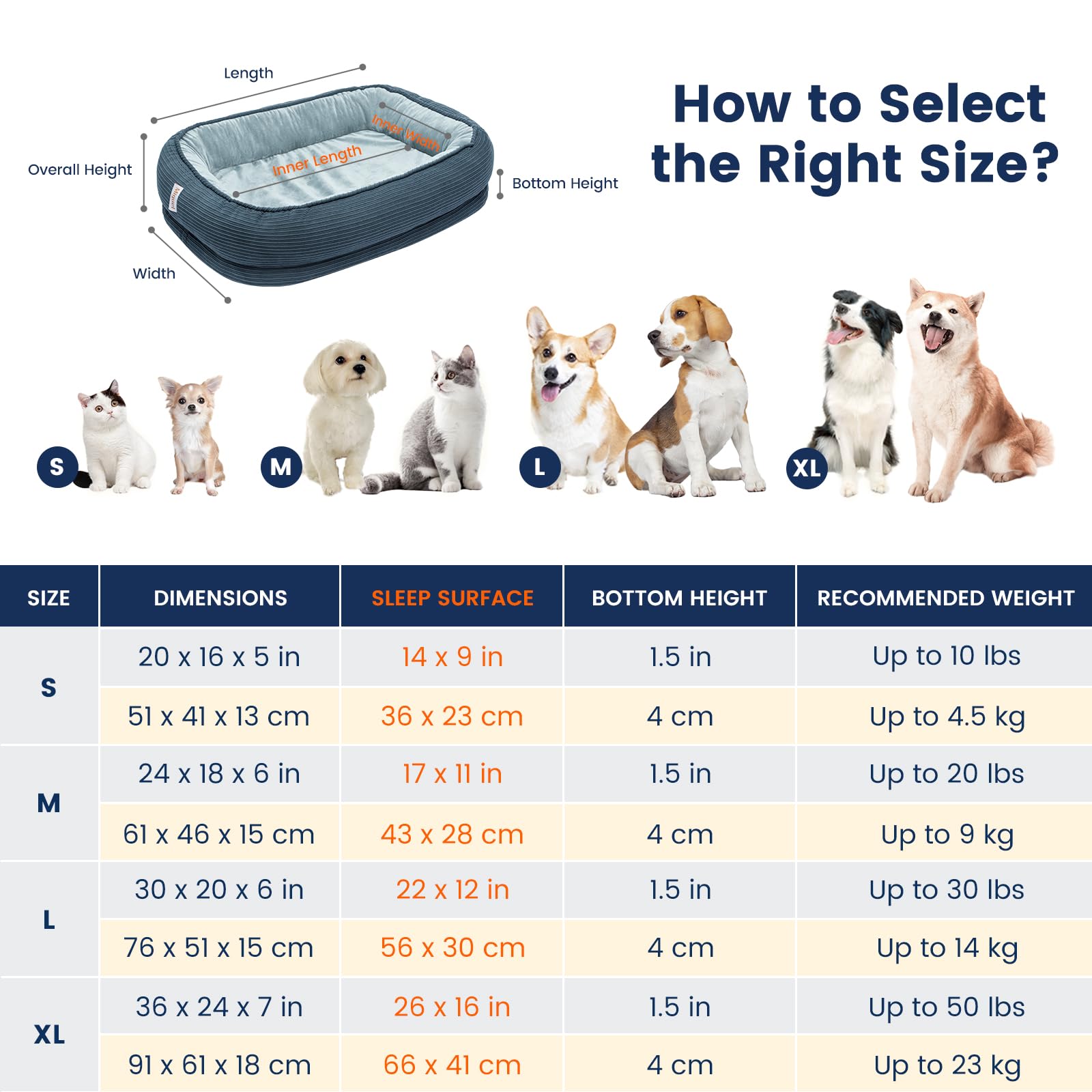 Miguel orthopedic cat bed with removable cover for quick washing
