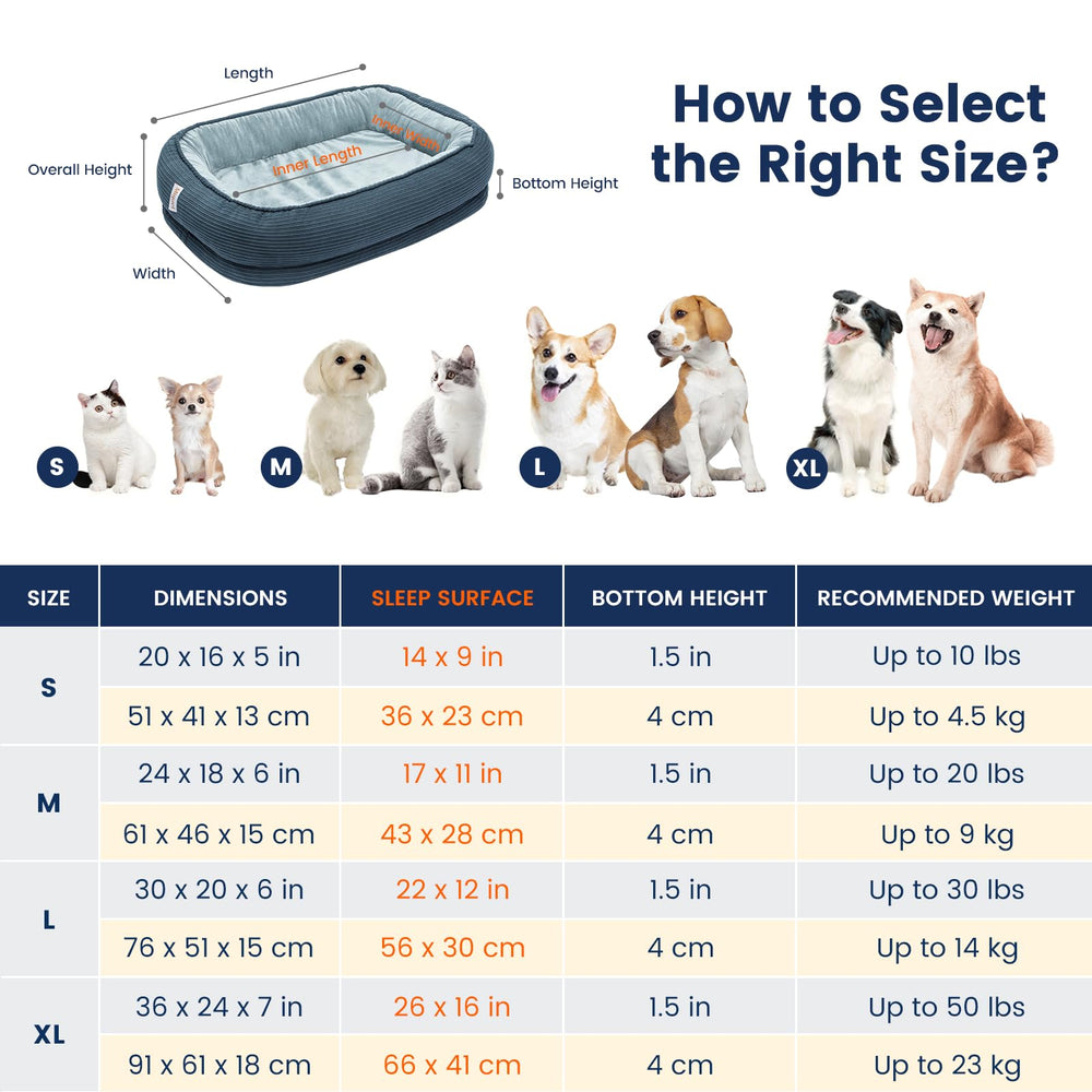Miguel orthopedic cat bed with removable cover for quick washing