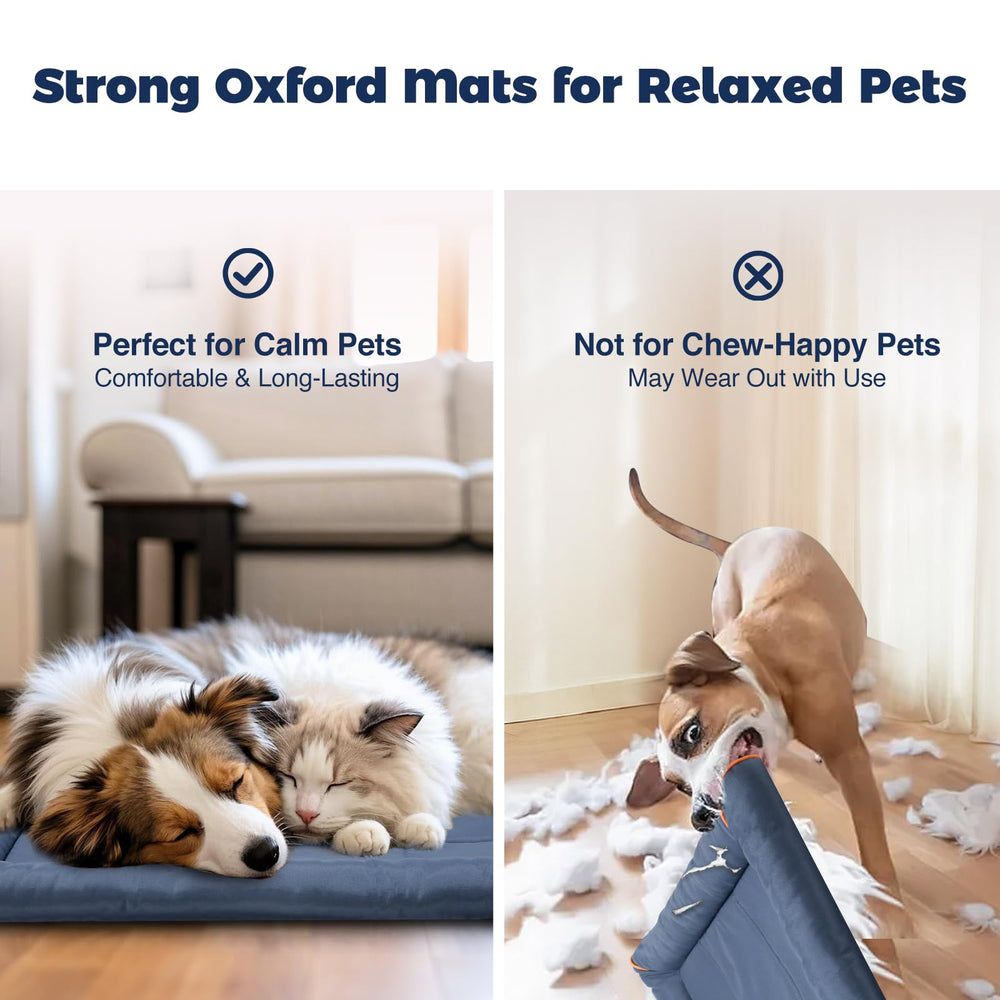 Miguel Oxford bed easy wipe-clean surface after play sessions.