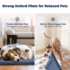 Miguel Oxford bed easy wipe-clean surface after play sessions.