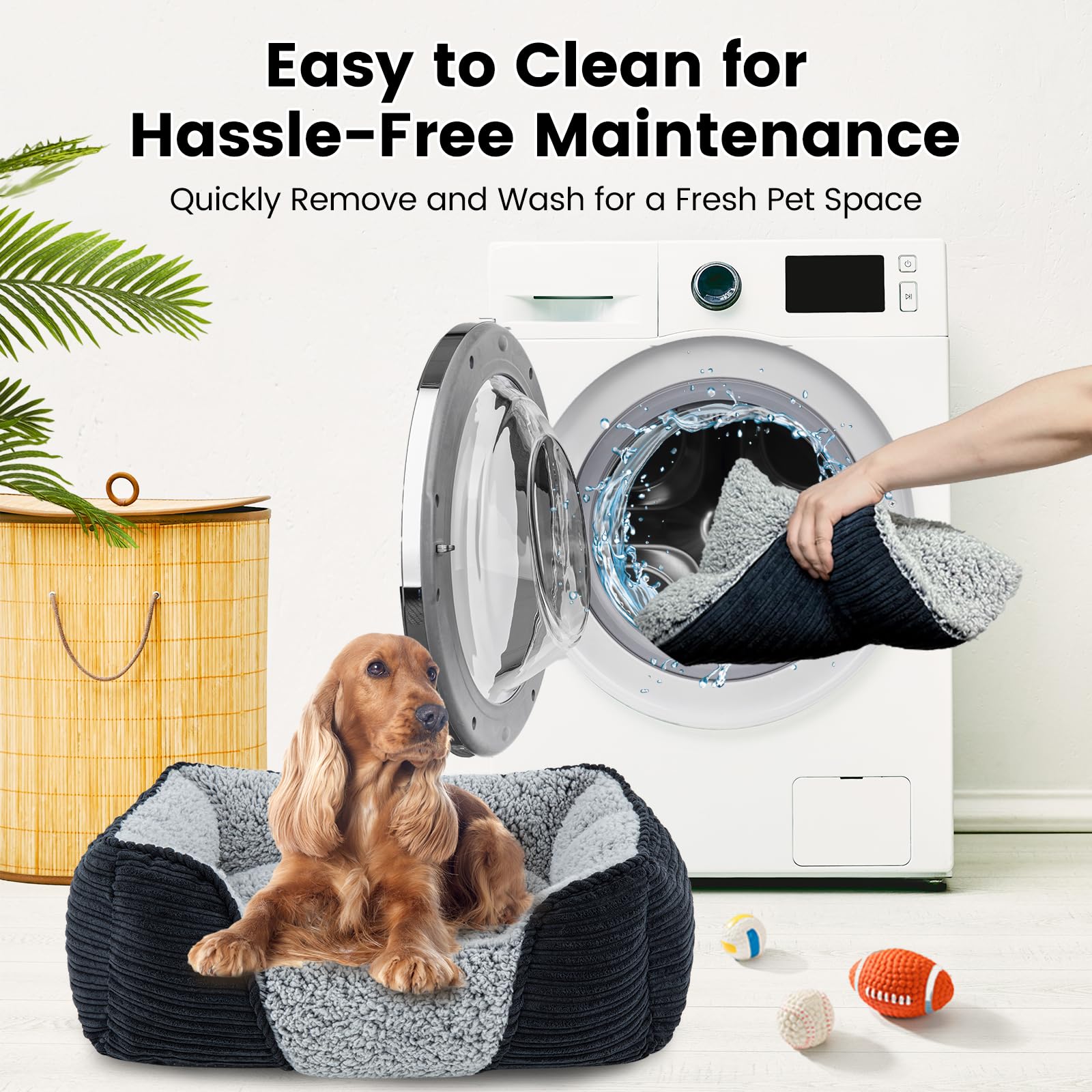 Miguel washable dog bed removable cushion for easy cleaning.