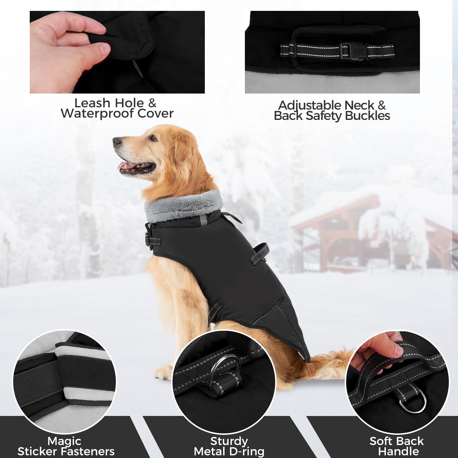 Mihachi dog coat back view highlighting streamlined silhouette and full coverage