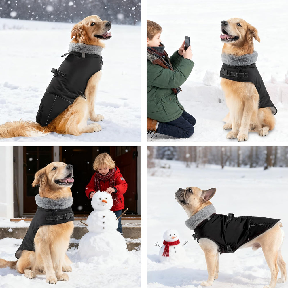 Mihachi D-ring leash attachment shows secure walk setup