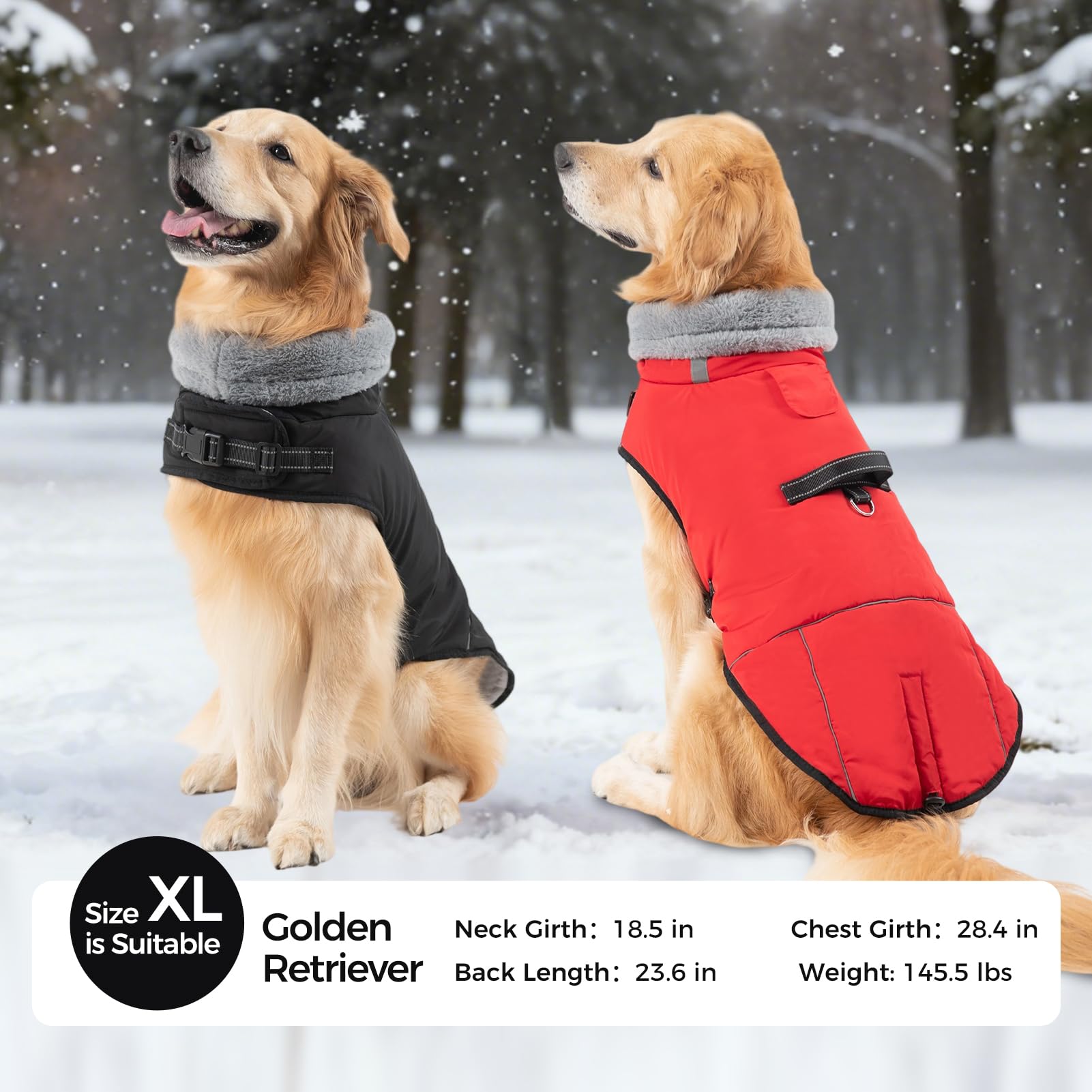 Mihachi coat with reflective strips improves visibility during early morning walks