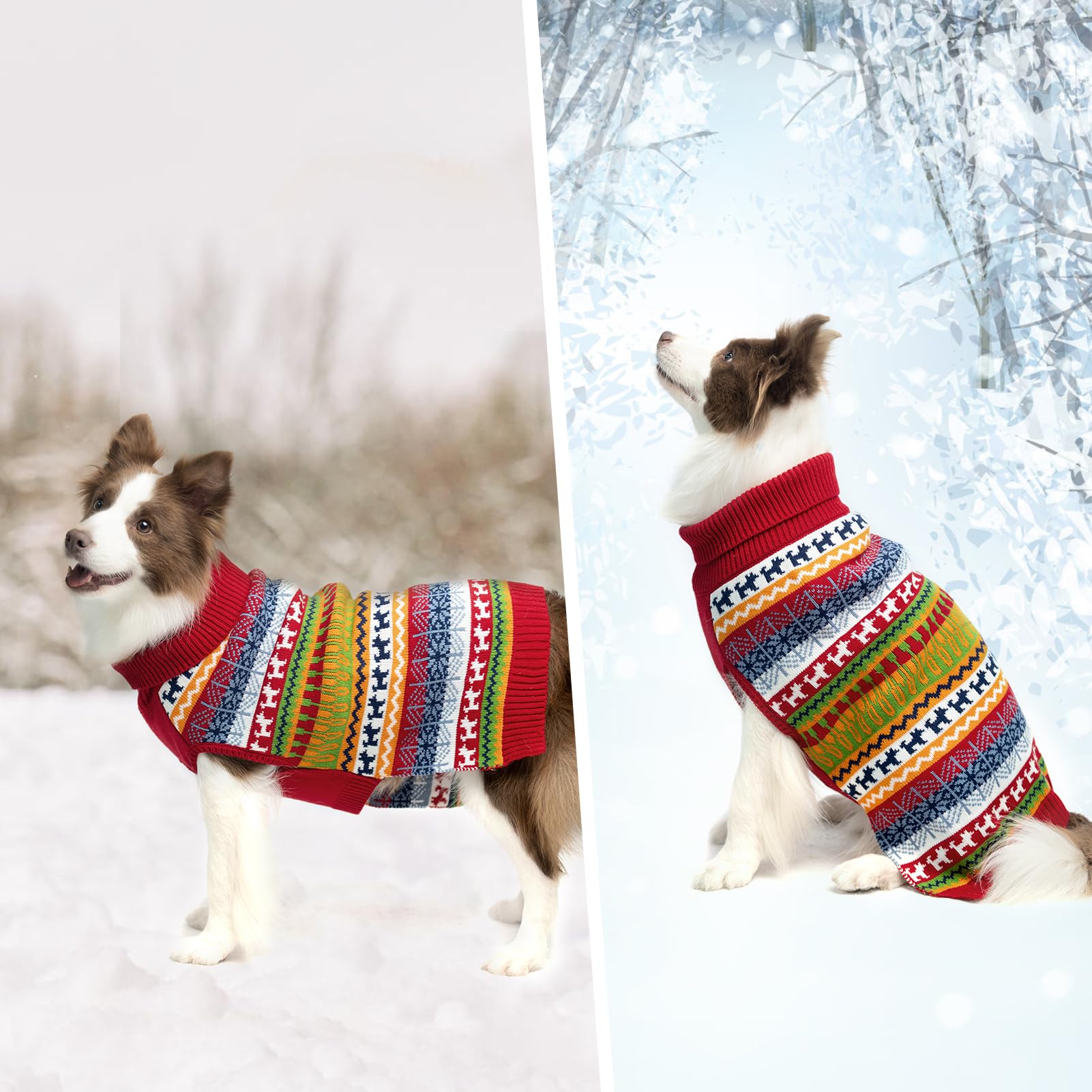 Mihachi dog sweater packaging and presentation suitable for gifting