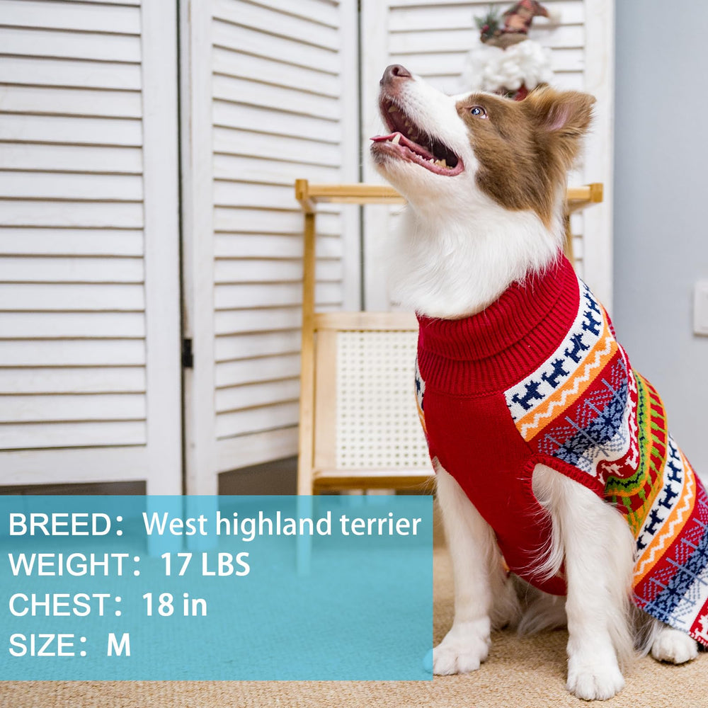 Mihachi dog sweater worn during walk demonstrates warmth in cold weather