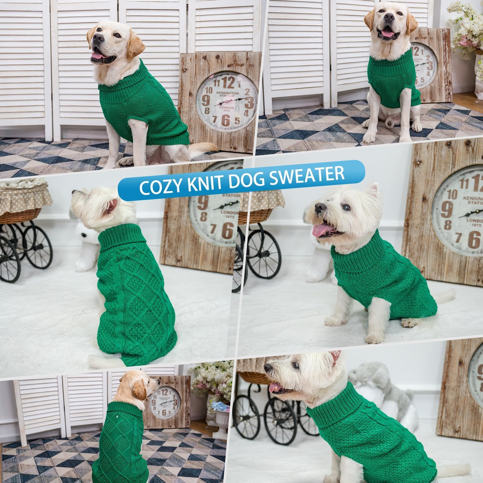 Mihachi green dog sweater ready for winter outdoor adventures.