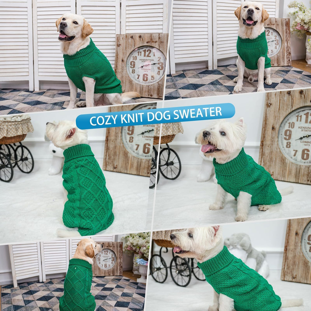 Mihachi green dog sweater ready for winter outdoor adventures.
