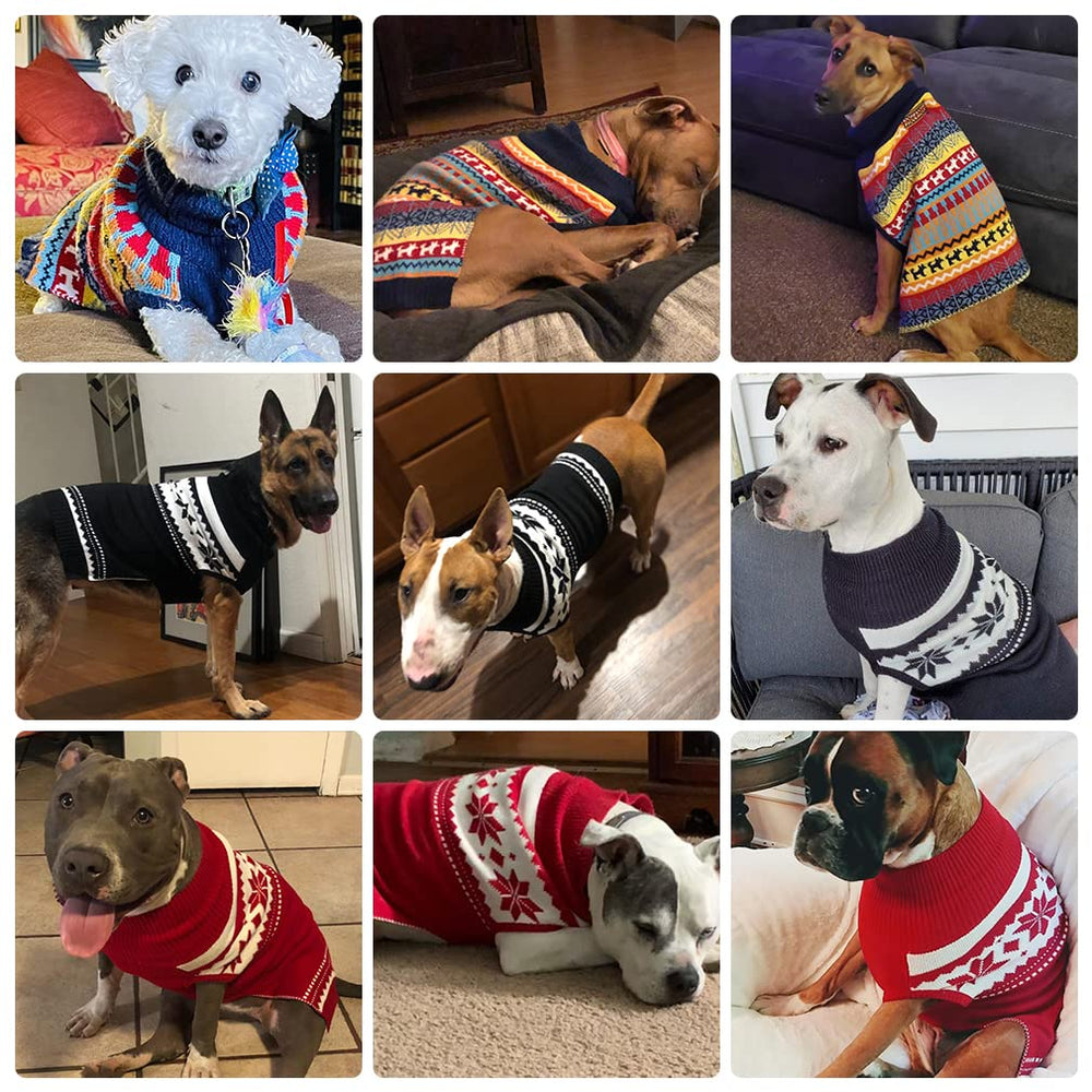 Mihachi dog sweater on a winter walk shows practical warmth for daily adventures.