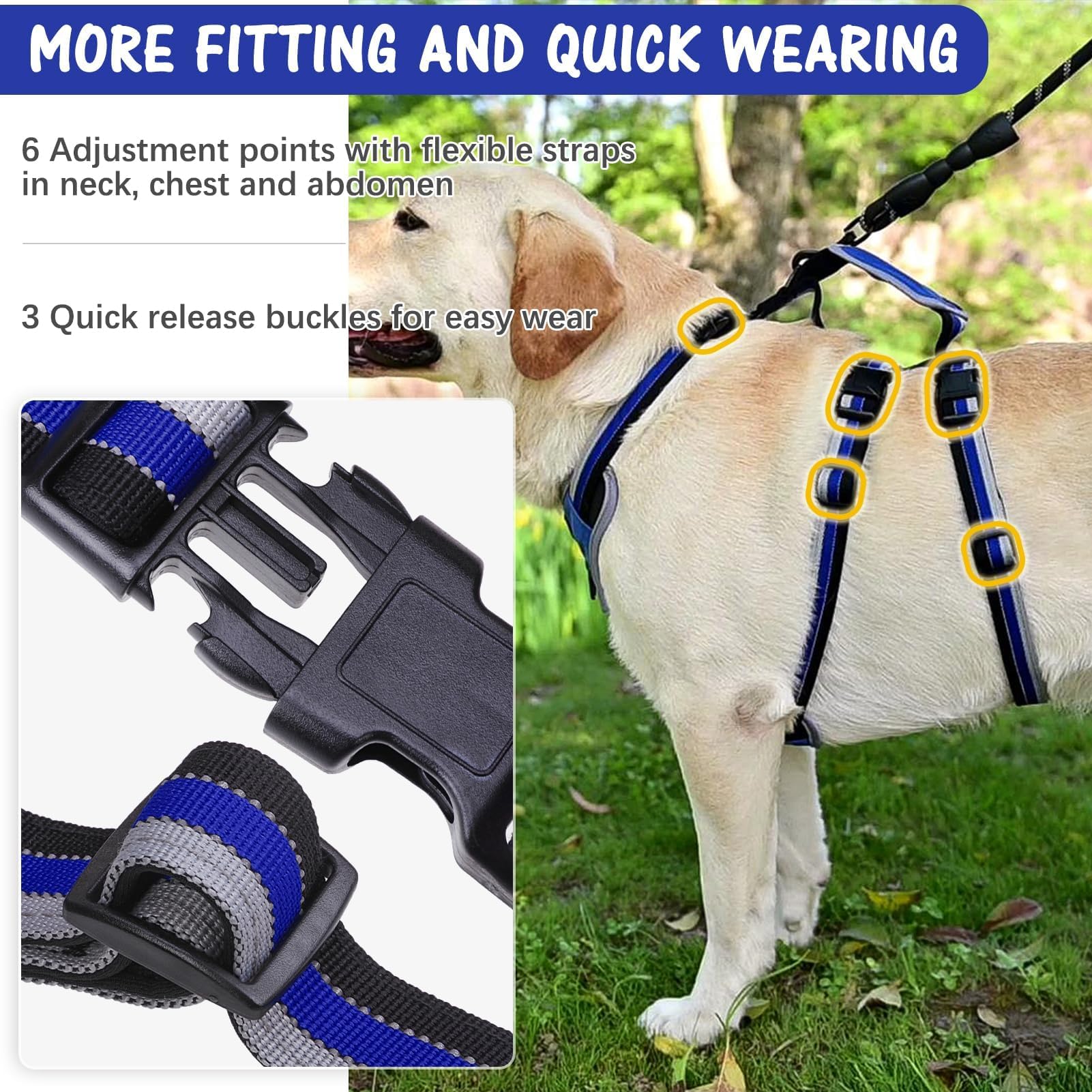 Mihachi harness chest and back D-ring attachment enables controlled leash guidance
