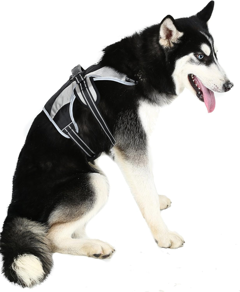 Mihachi Escape Proof Harness back D-ring for reliable leash attachment on walks.