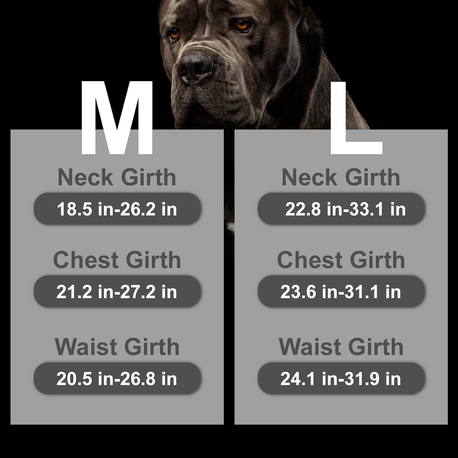 Mihachi Escape Proof Harness five-point adjustment ensures a snug, flexible fit across breeds.
