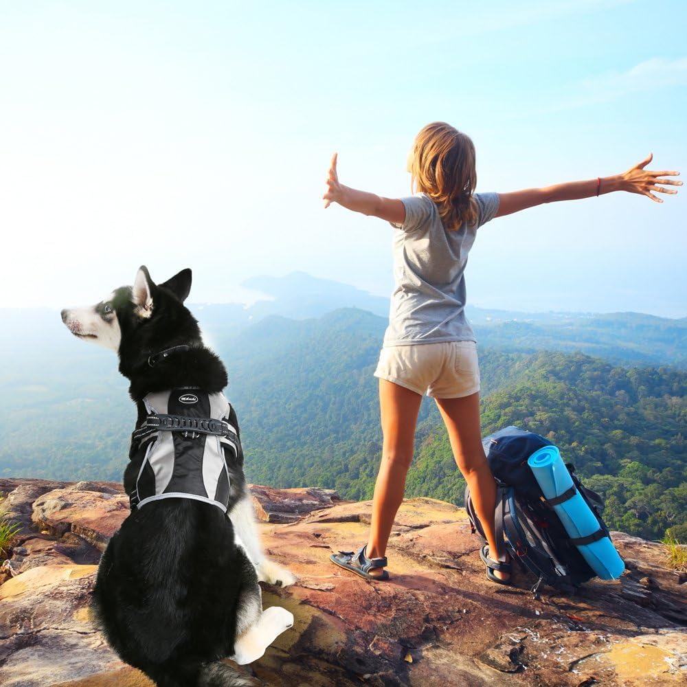 Mihachi Escape Proof Harness in-use image demonstrates no-slip control during strolls