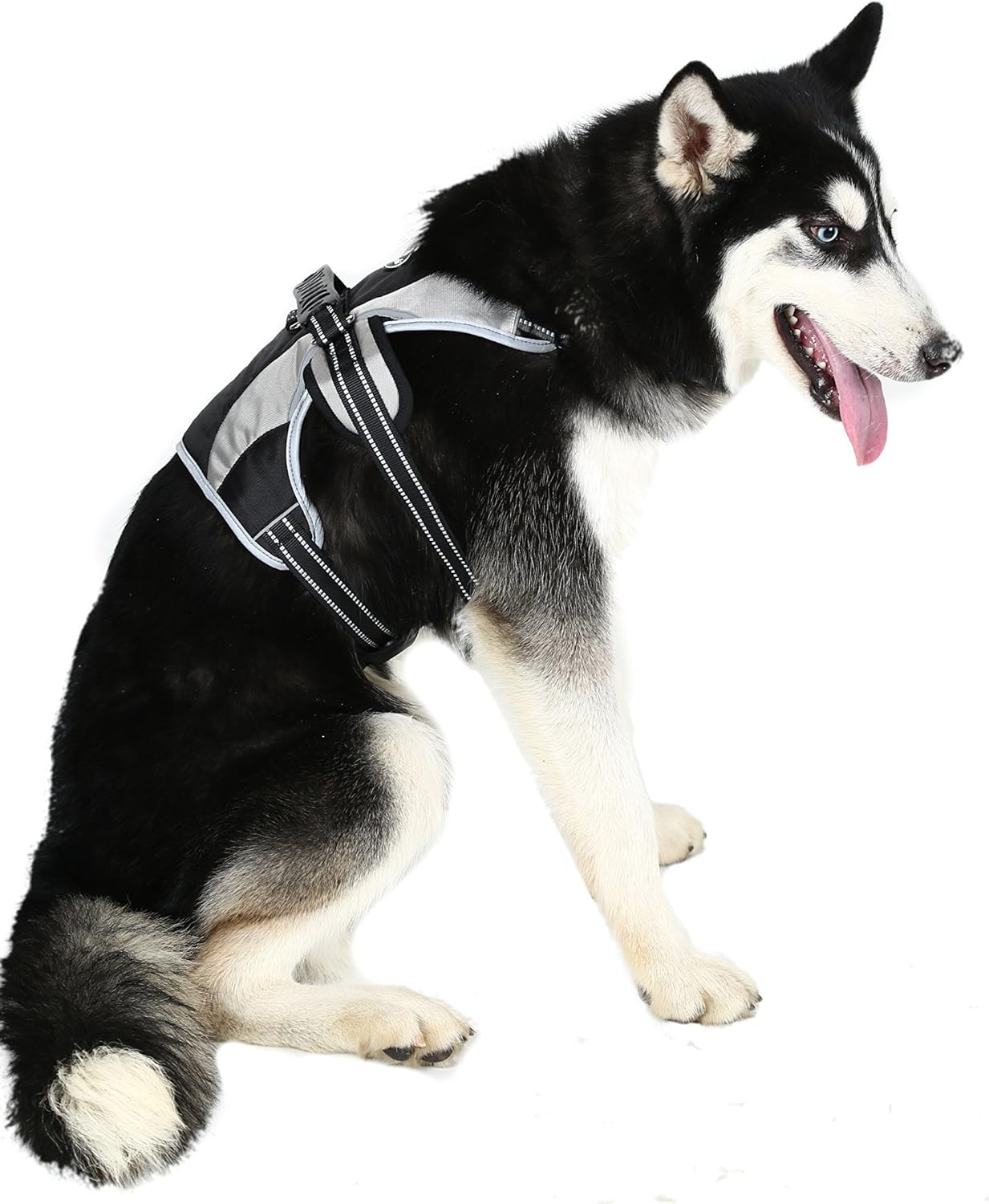 Mihachi Escape Proof Harness reflective detail boosts visibility for night walks