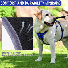 Mihachi harness reflective night strips improve visibility during evening walks