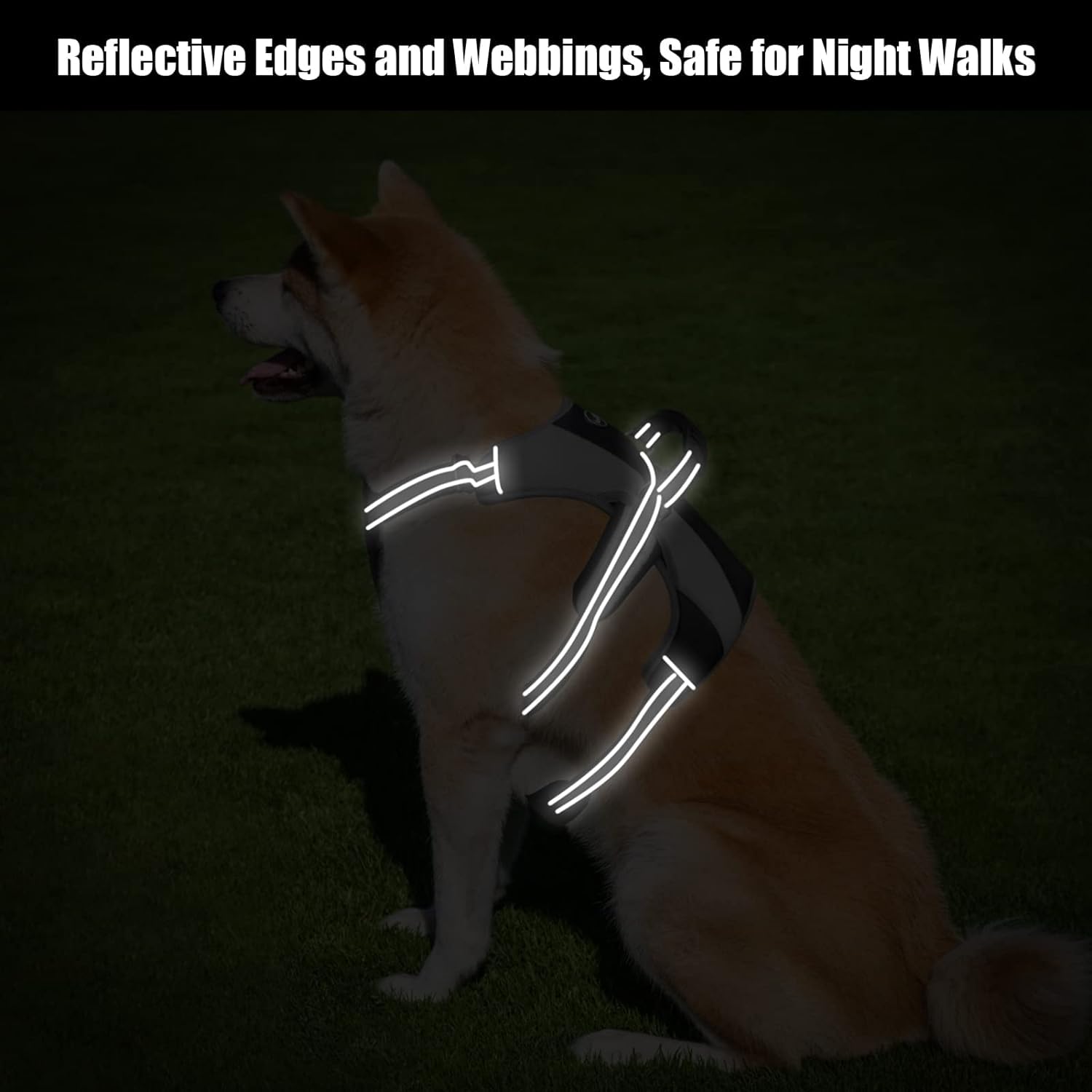 Mihachi Escape Proof Harness waterproof polyester withstands weather during daily adventures.