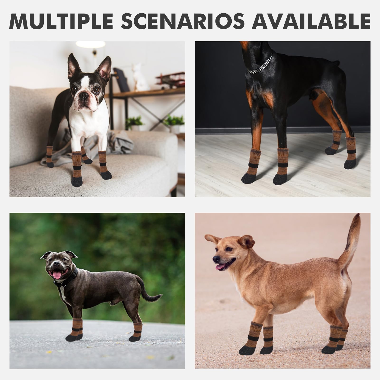 Mihachi fashion-colored dog socks close-up reveals stylish design options.