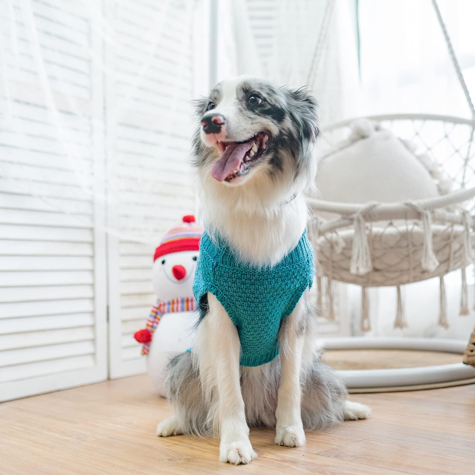 Mihachi turtleneck dog sweater gift packaging ready for New Year