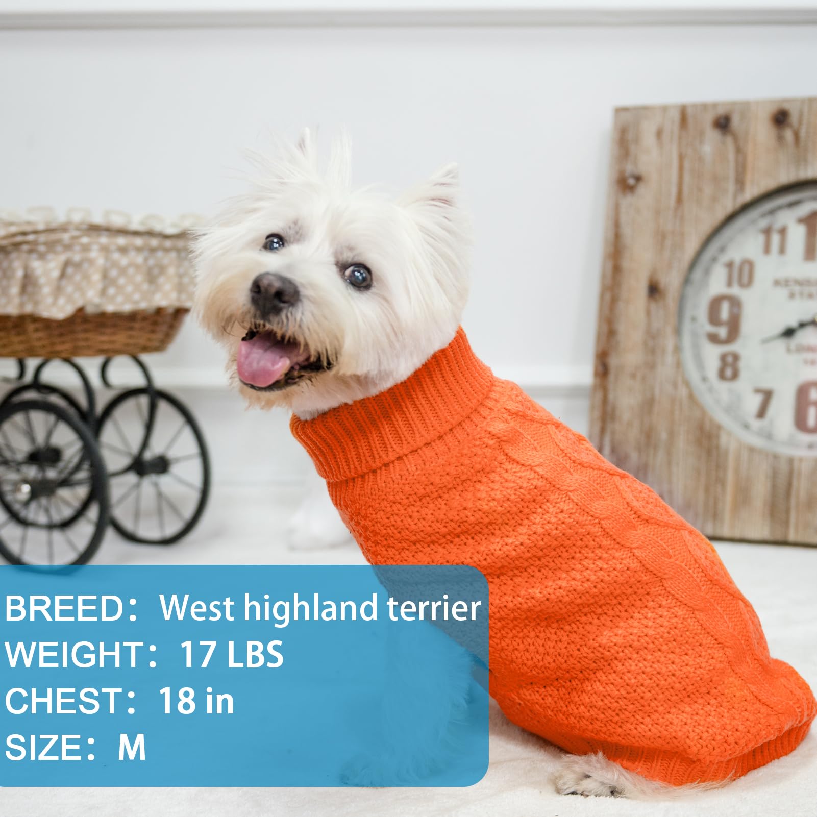 Mihachi turtleneck dog sweater leash hole close-up for walks