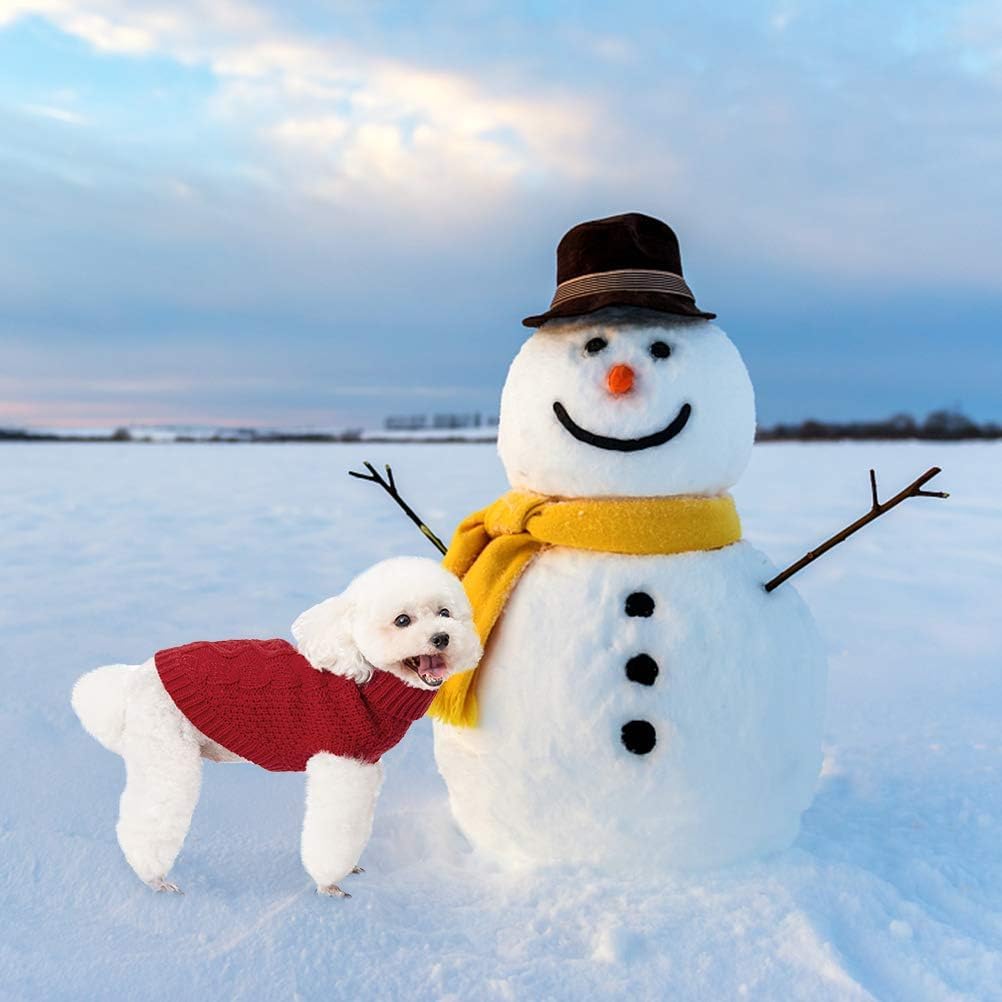Mihachi Turtleneck Dog Sweater packaging hints at a thoughtful New-Year gift