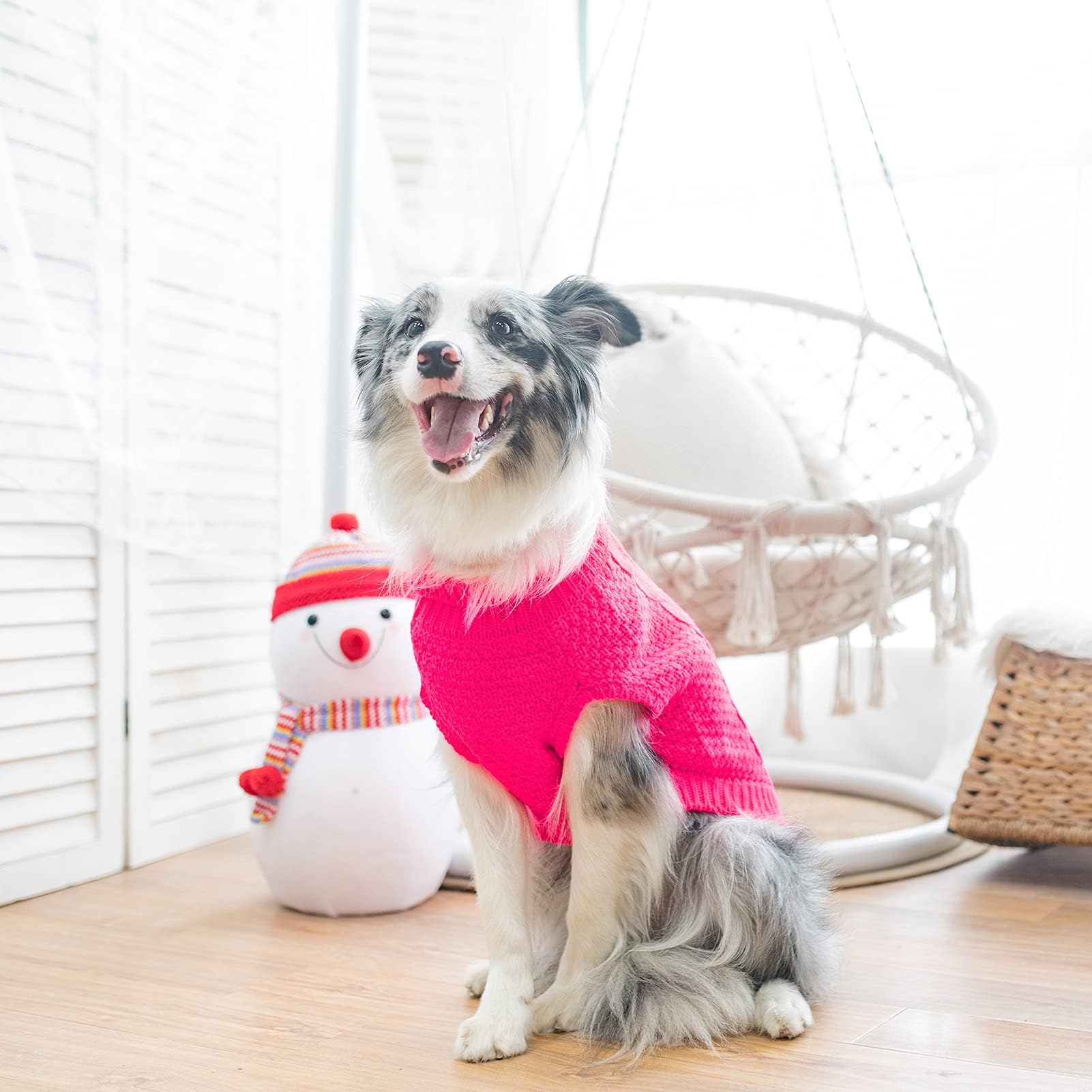 Mihachi Turtleneck Dog Sweater packaging gift-ready, ideal for New Year gifting.