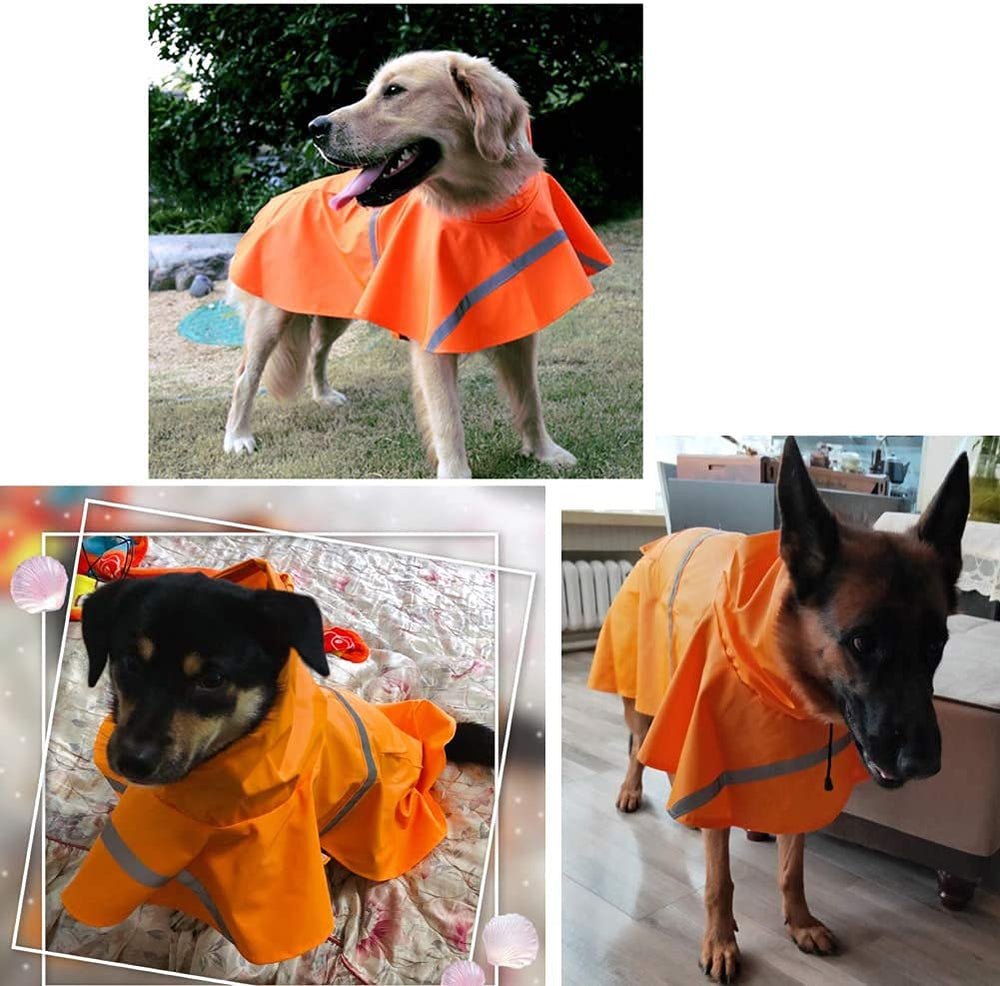 Mikayoo Carledon raincoat shown on dog during a rainy walk.