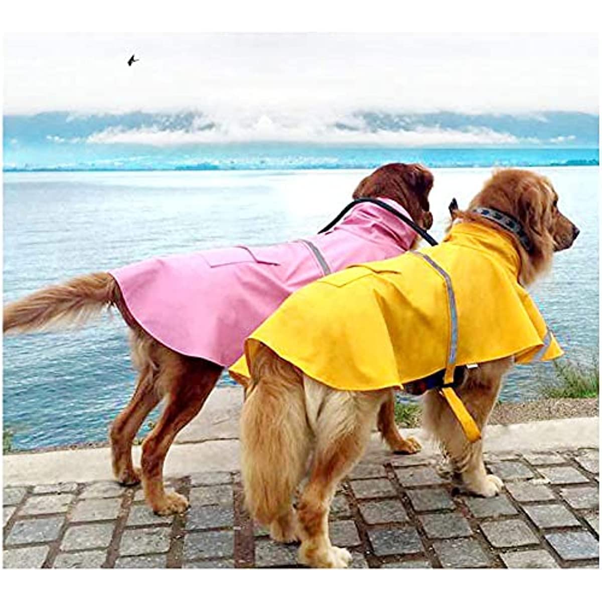 Mikayoo raincoat back pocket with Velcro flap for essentials