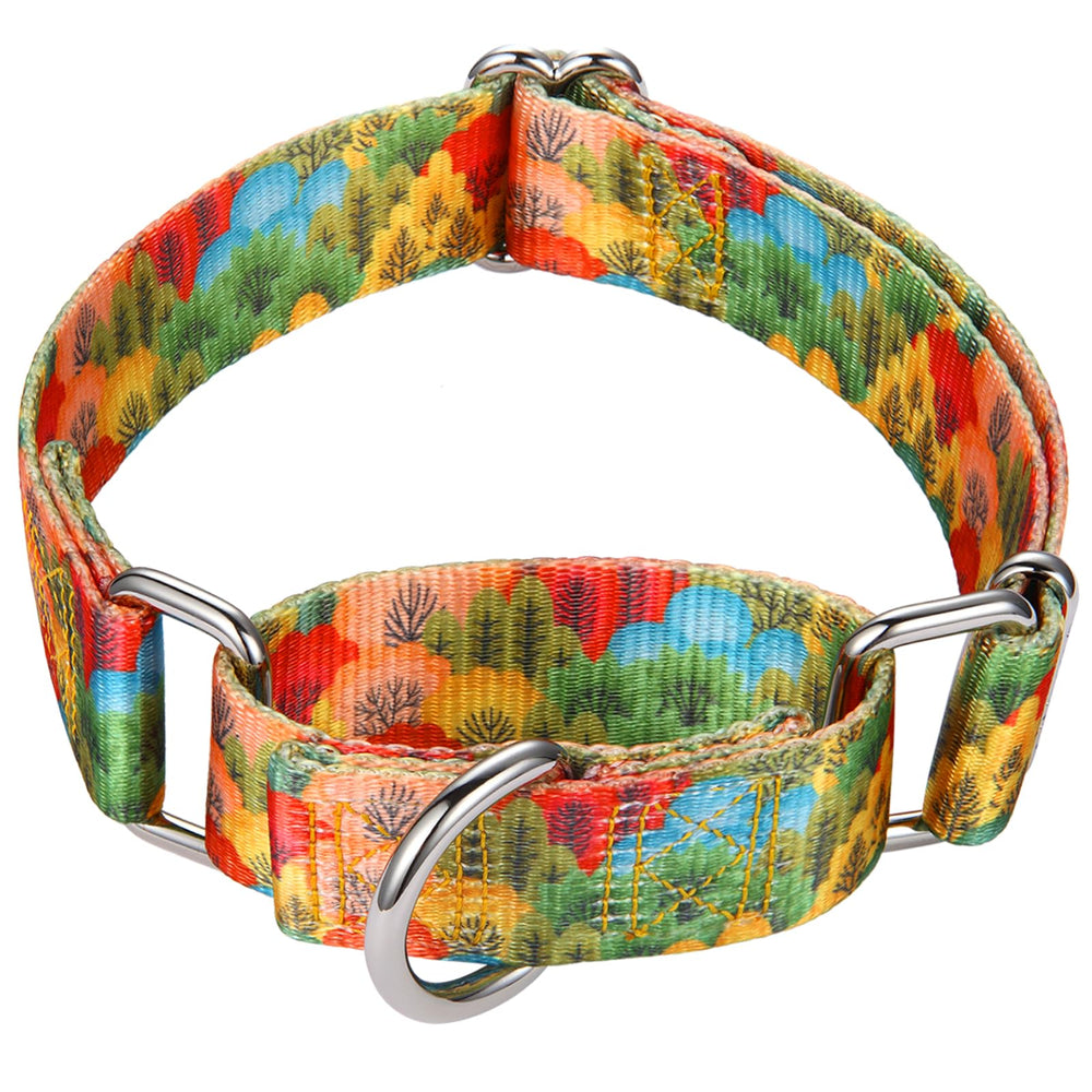 Mikivery Martingale Collar with adjustable fit for growing dogs, ideal for daily walks.